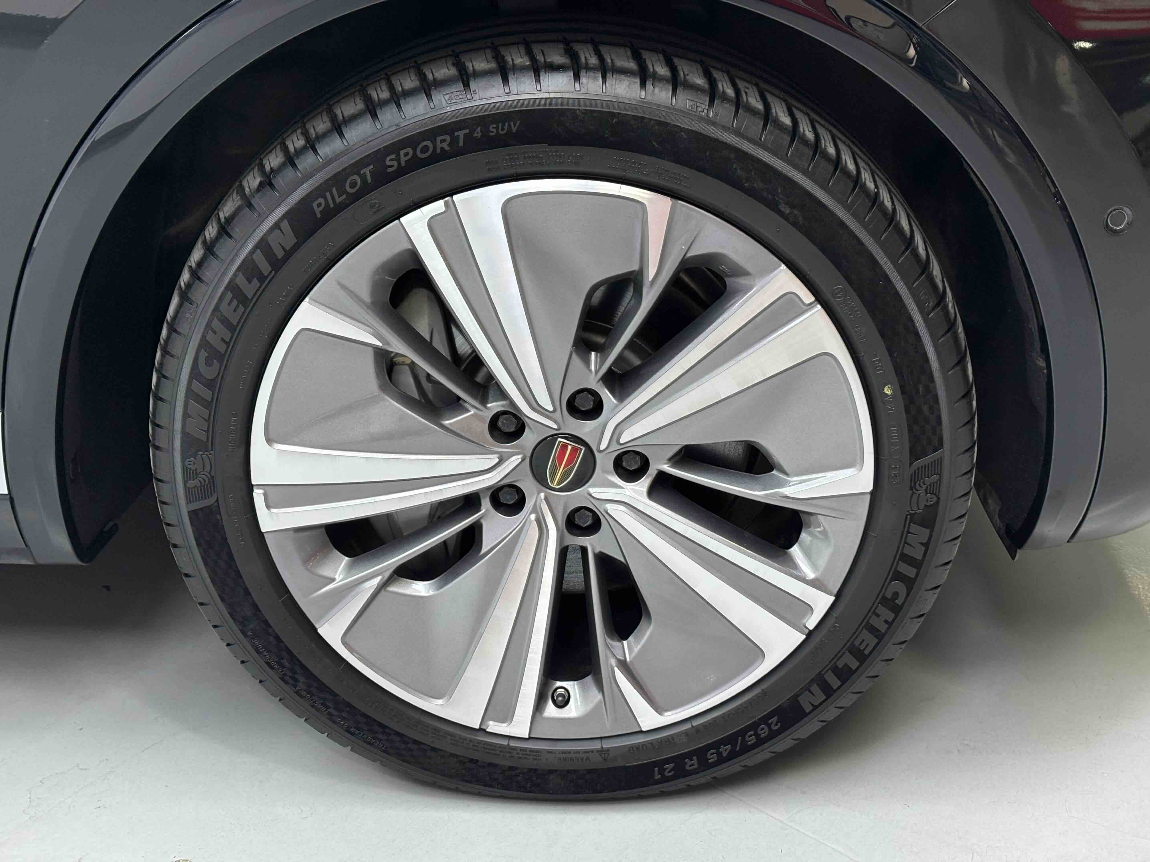 HongQi E-HS9 2023 imagem de carro #16