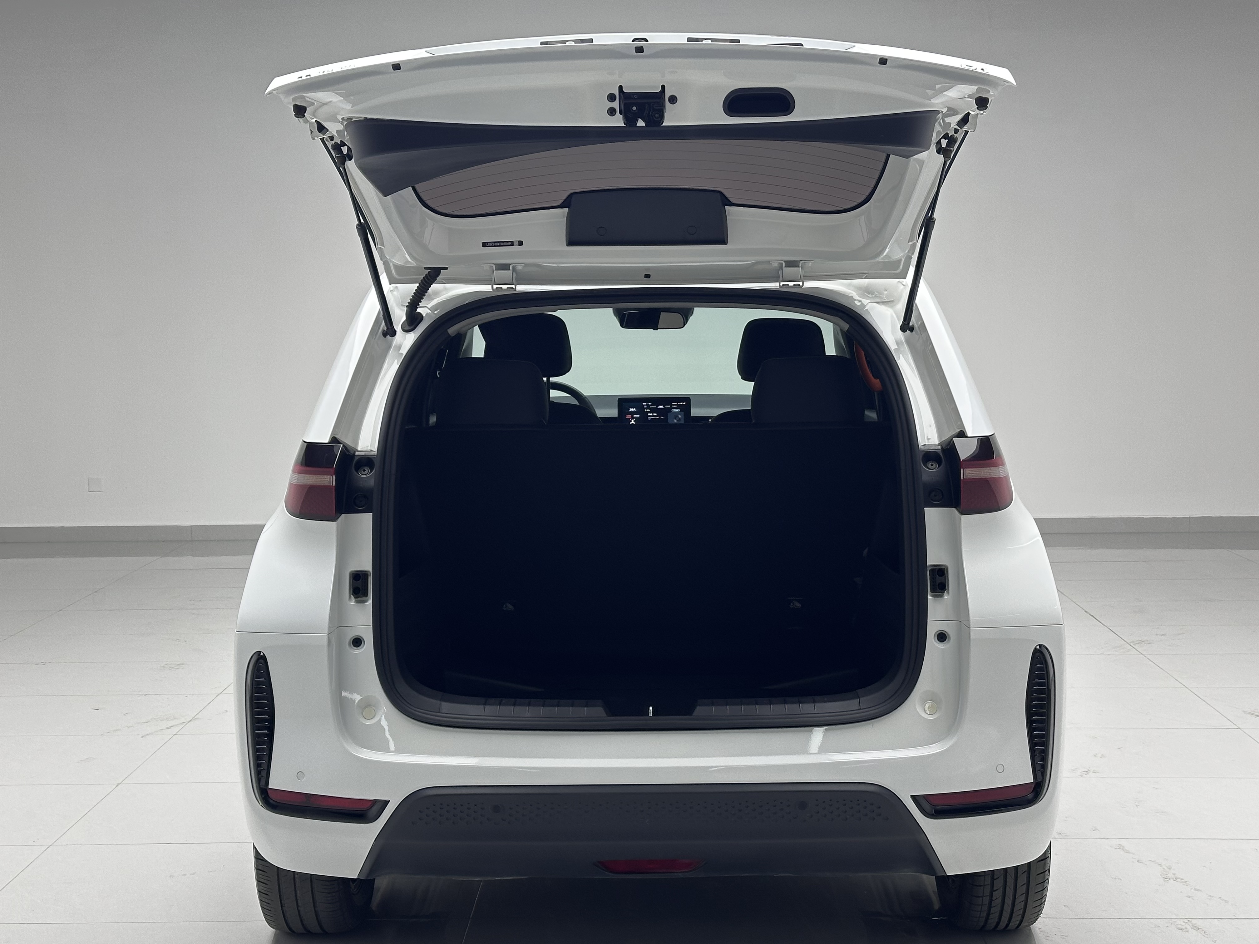 BYD D1 2023 immagine di auto #16