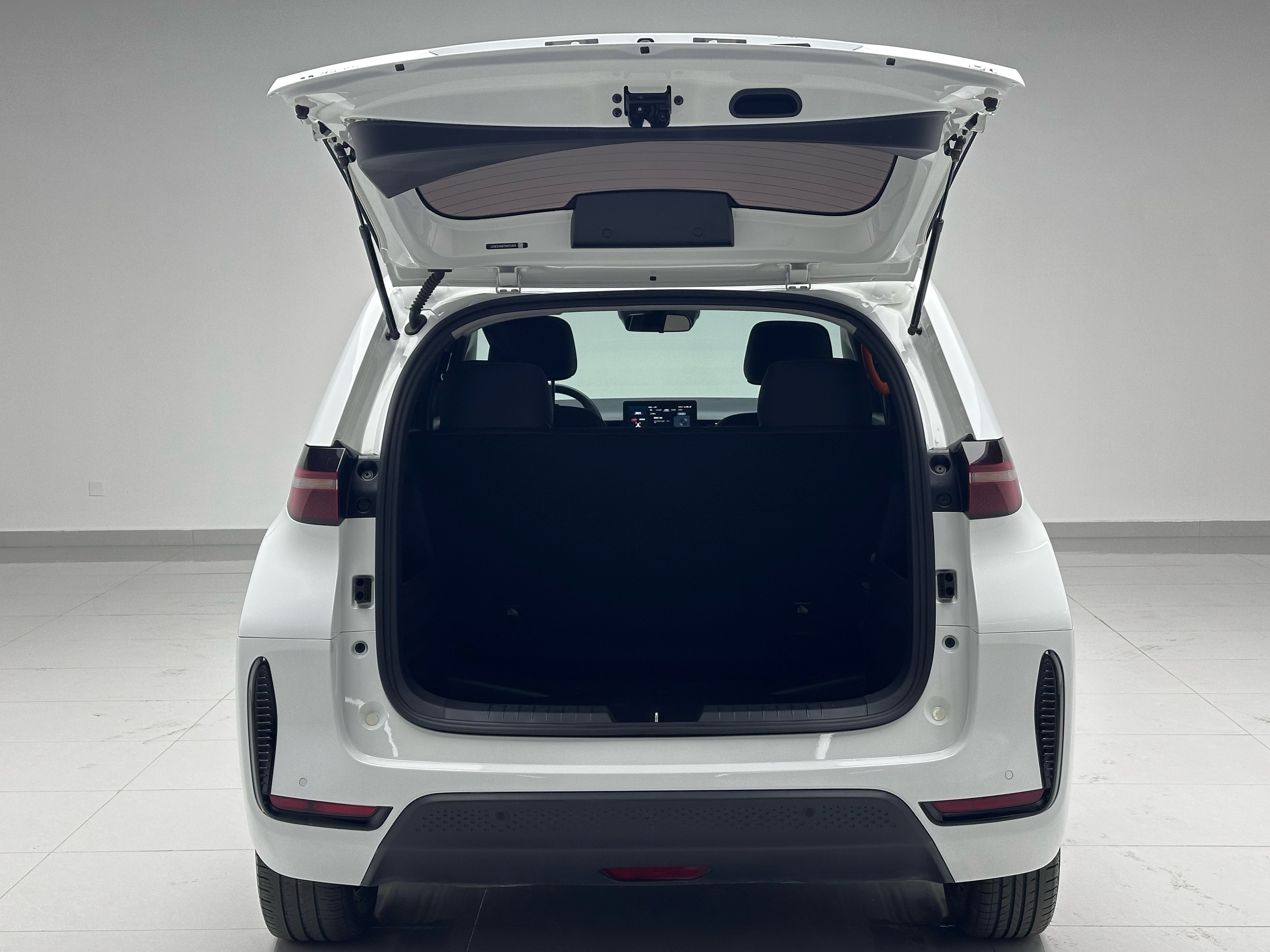 BYD D1 2023 car image #16