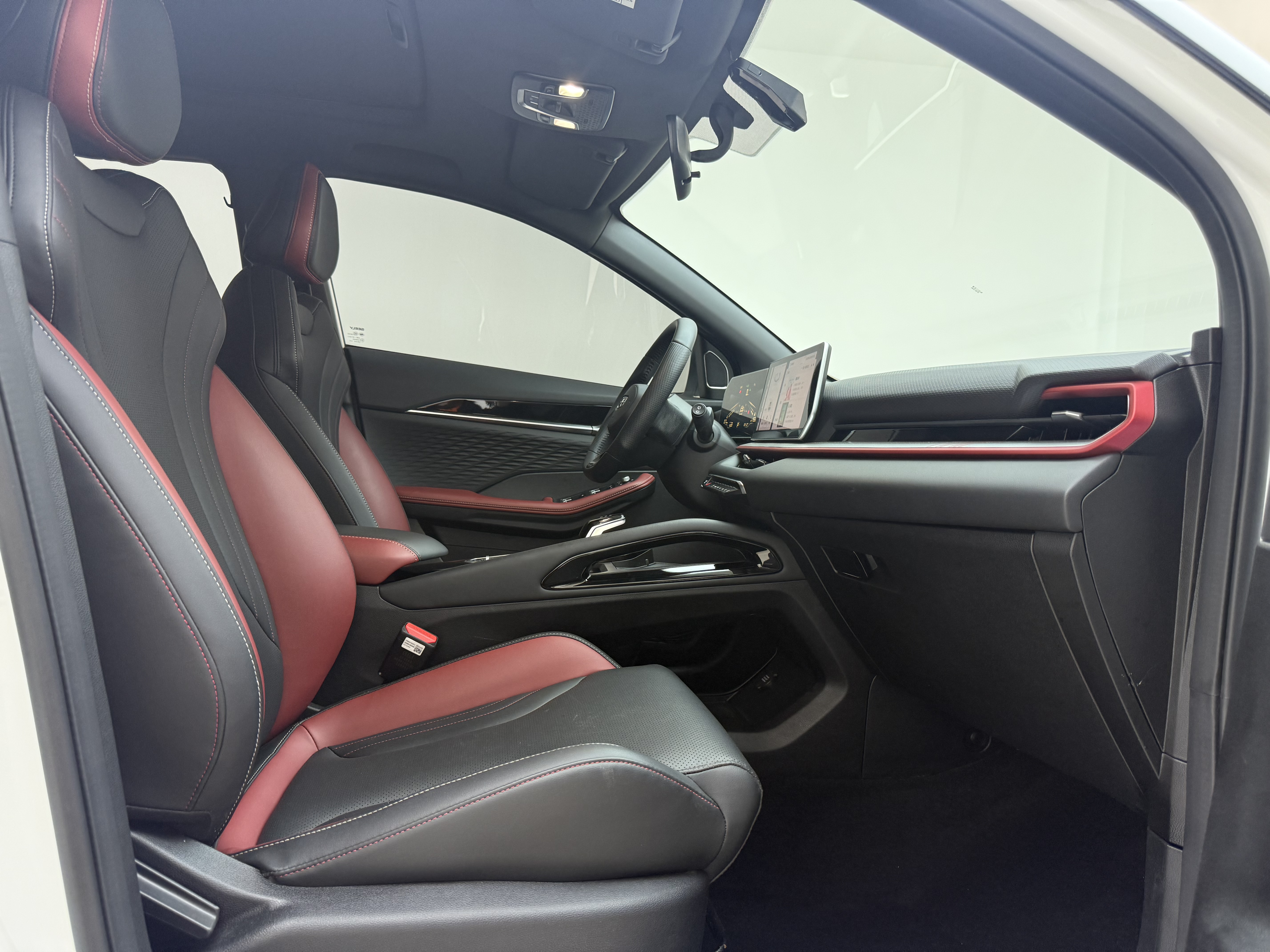 Coolray 2023 immagine di auto #16