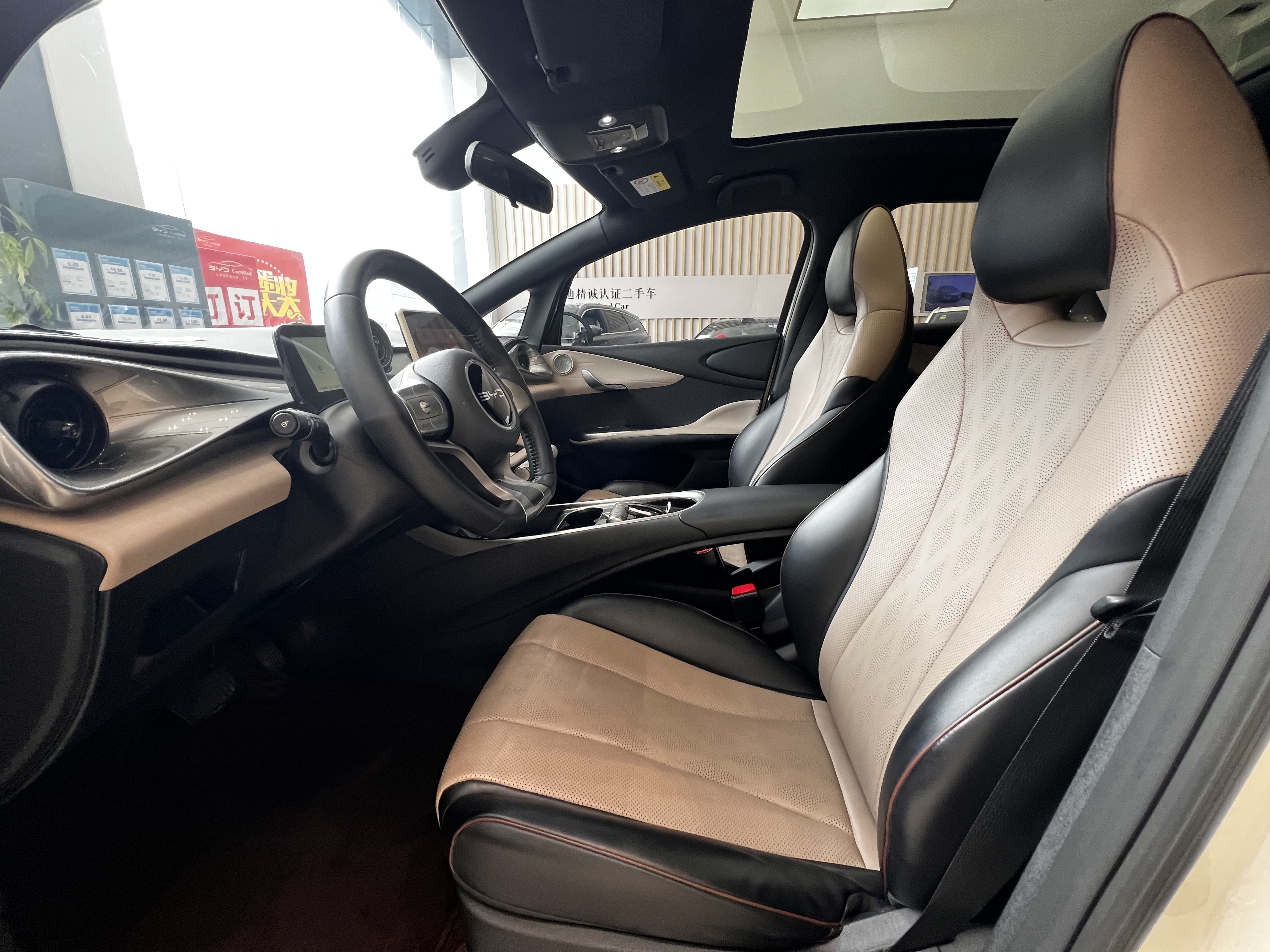 BYD Dolphin 2023 car image #16