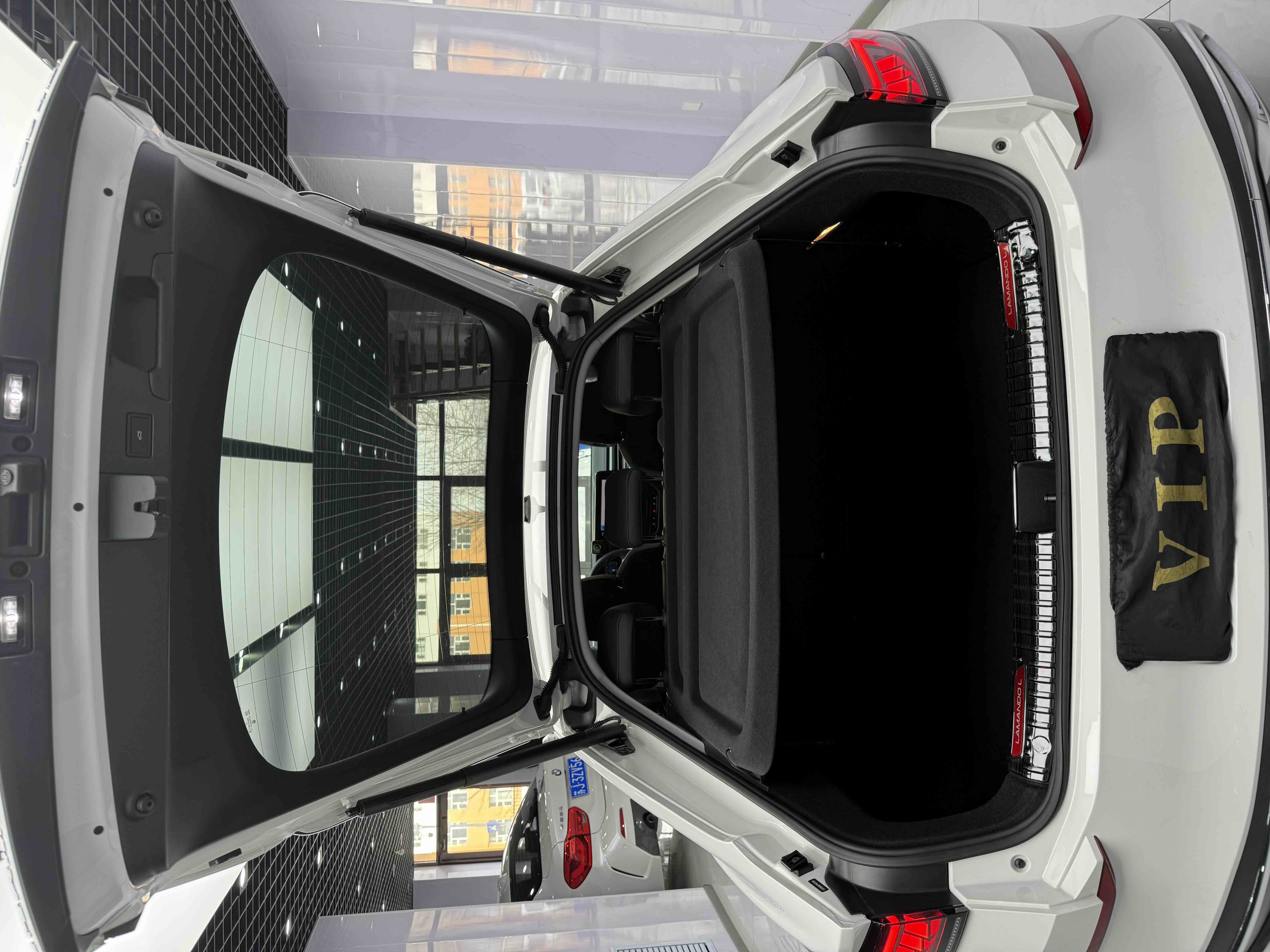 Volkswagen Lamando 2023 car image #16