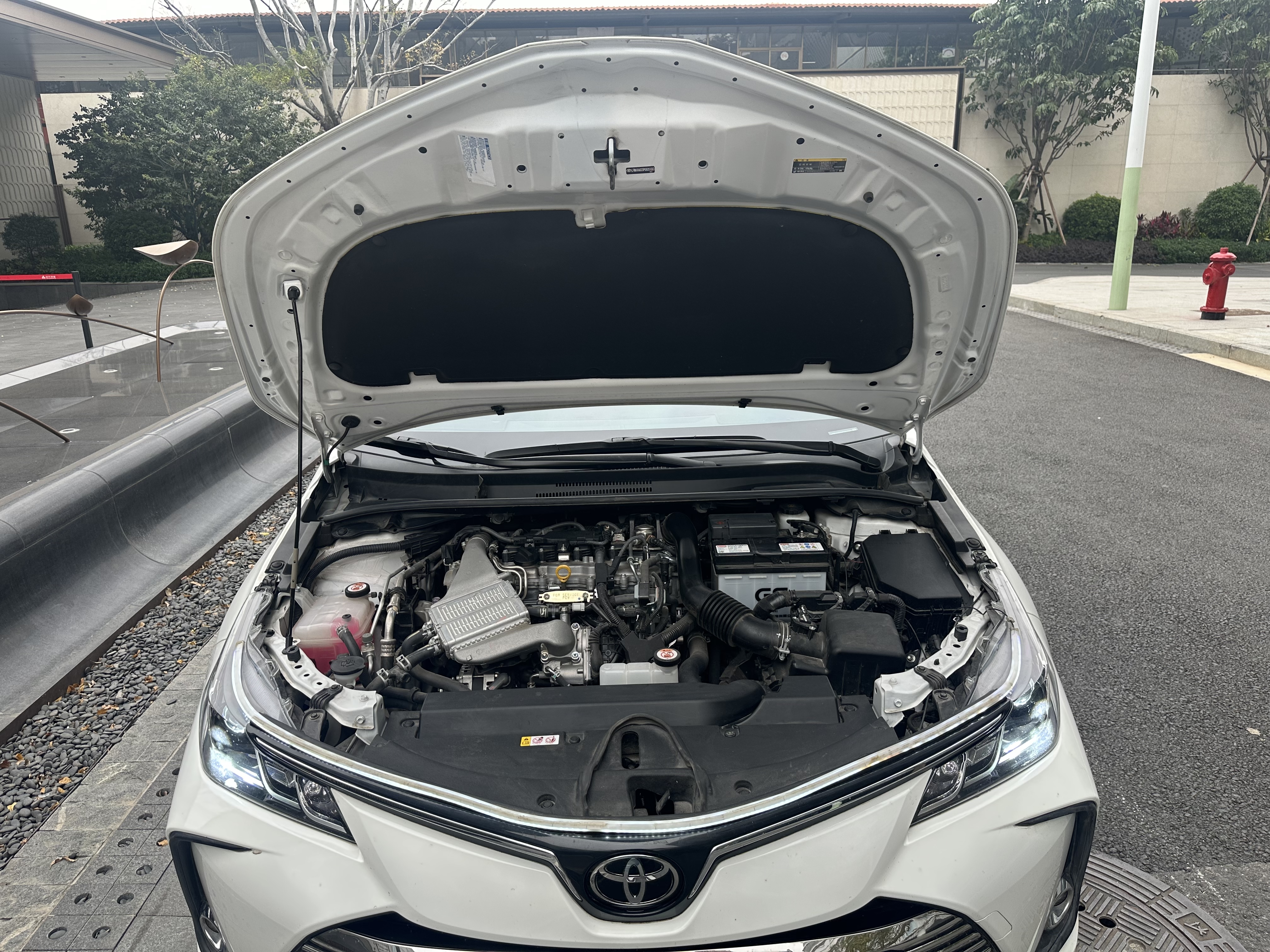 Toyota Corolla 2023 car image #16