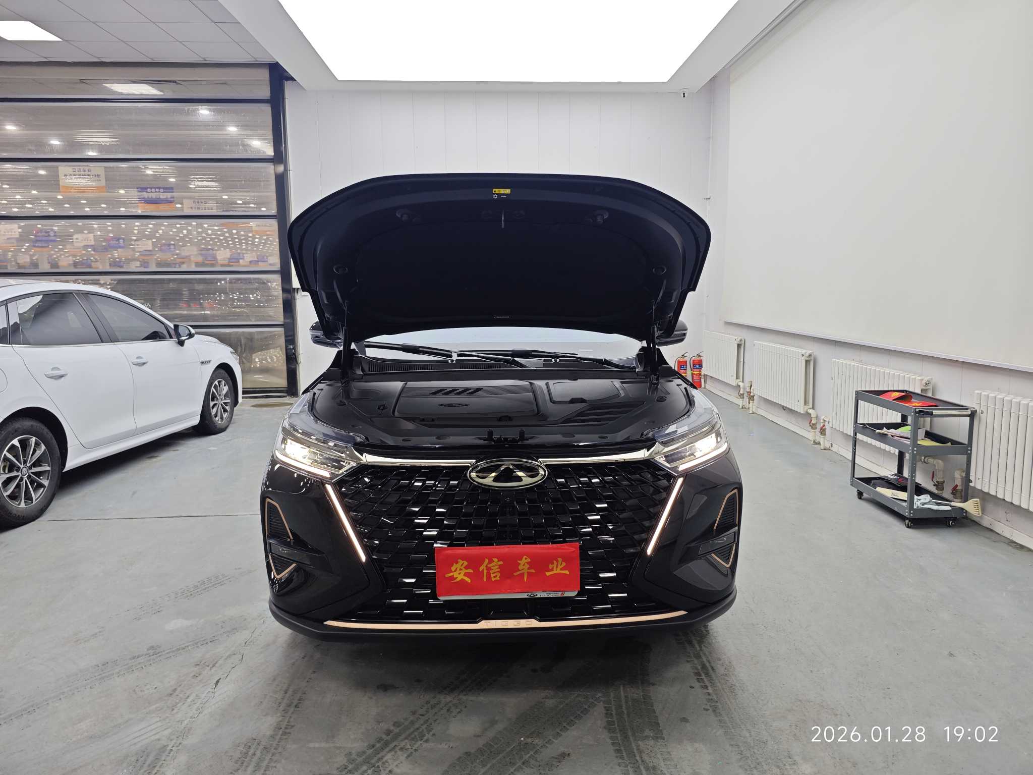 Tiggo 8 PRO 2023 car image #16