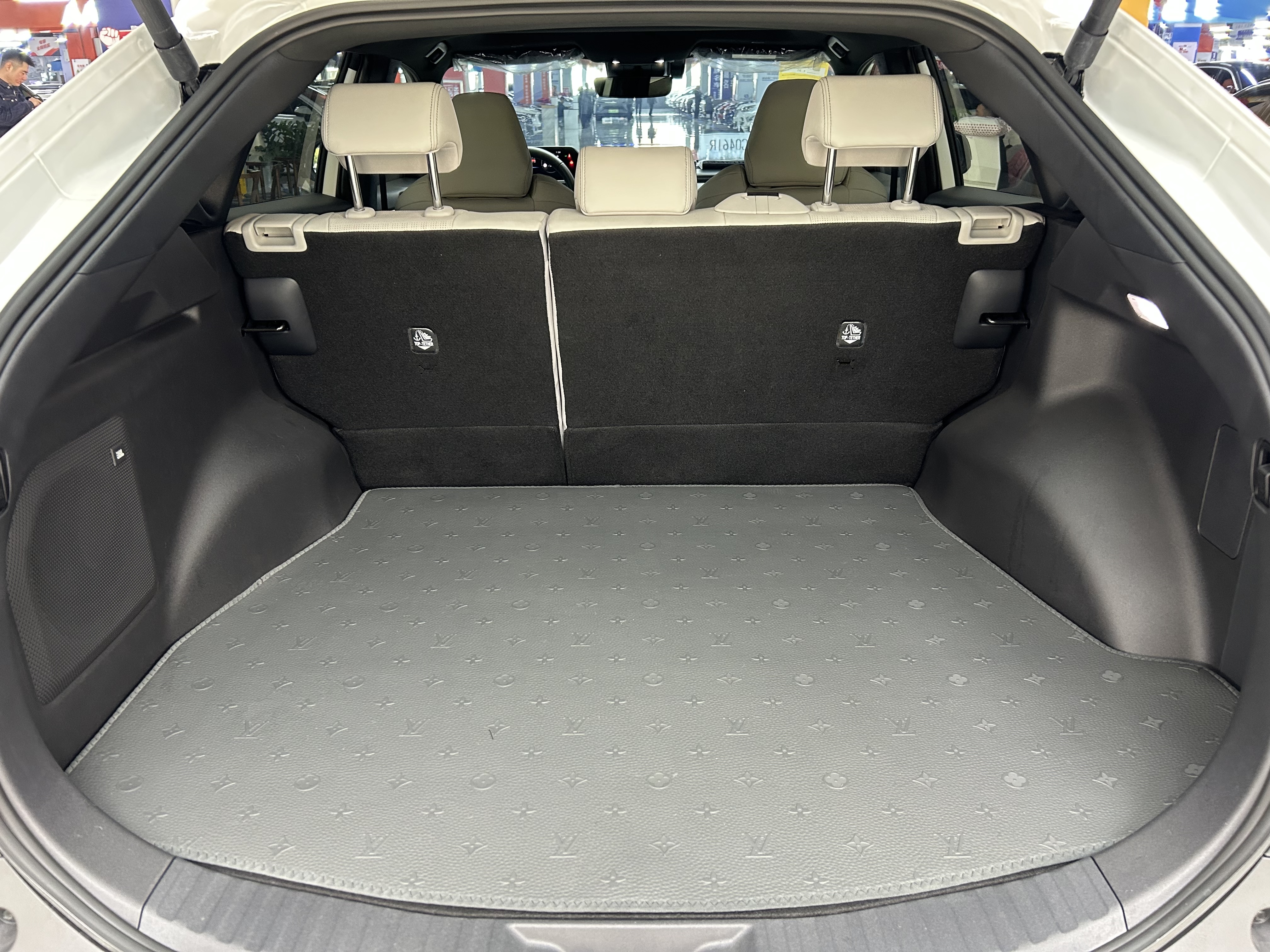 Toyota Bozhi 4X 2025 #16 Toyota Bozhi 4X 2025 car image #16