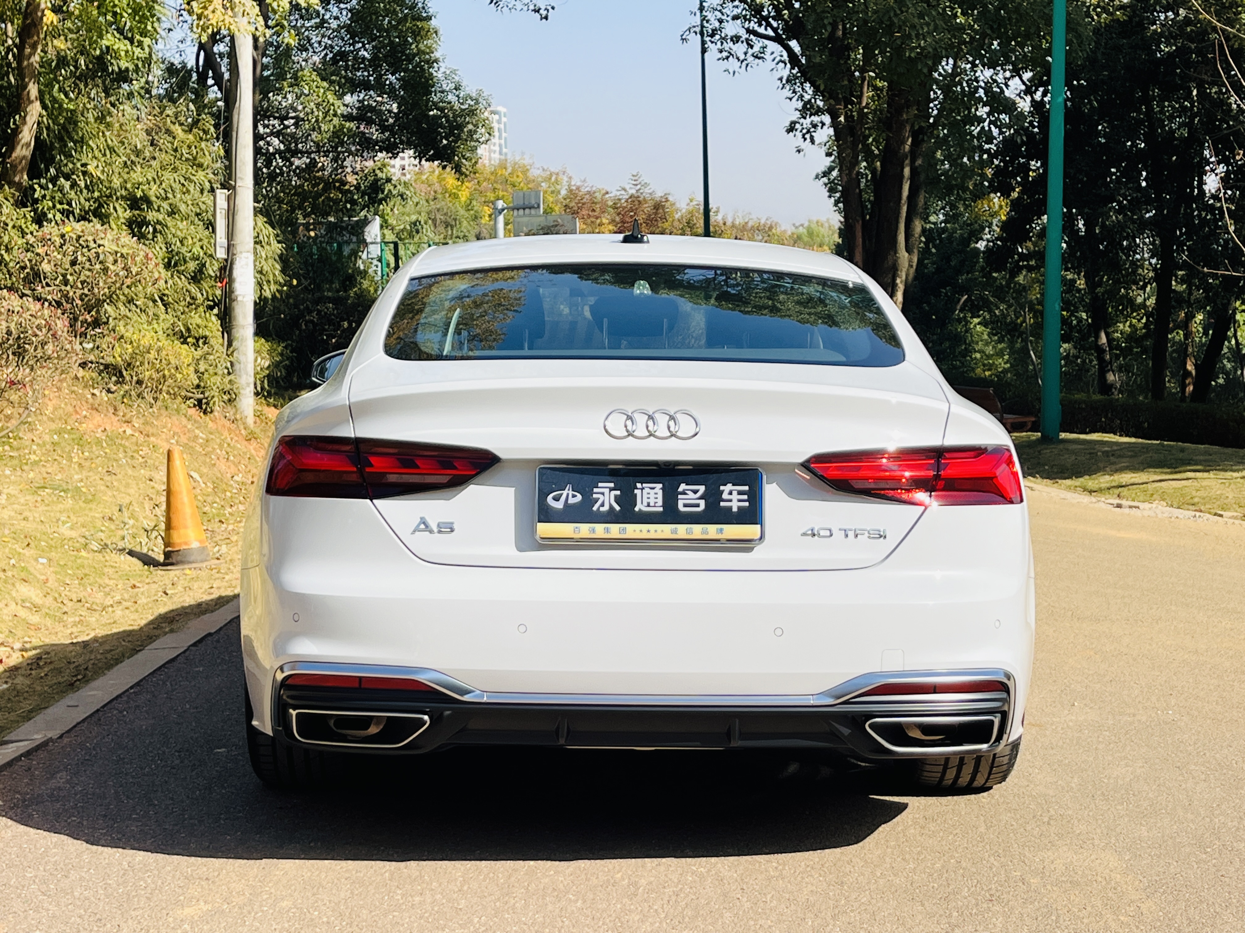 Audi A5 (Imported) 2024 car image #16