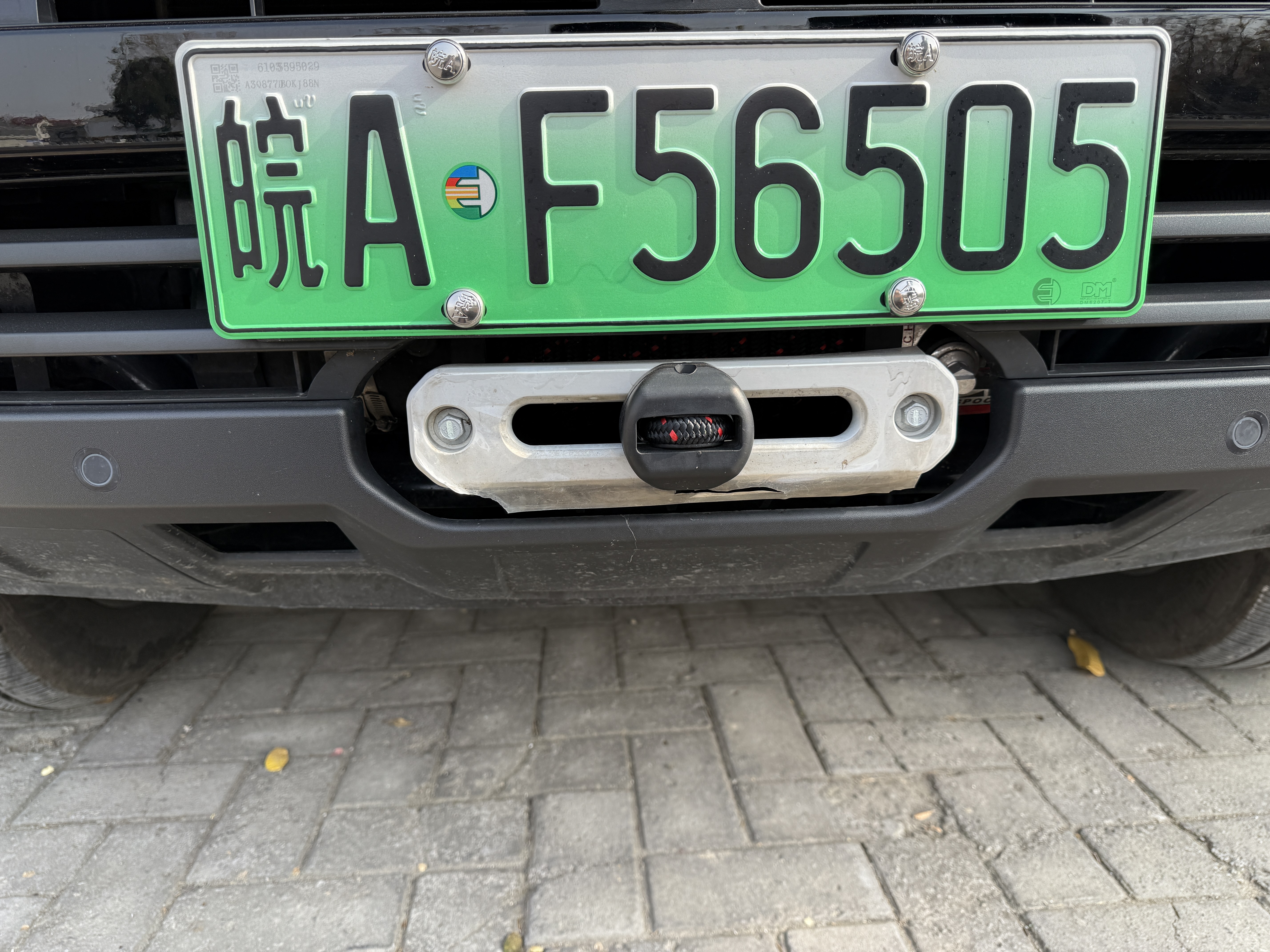 Tank 700 New Energy 2024 immagine di auto #16