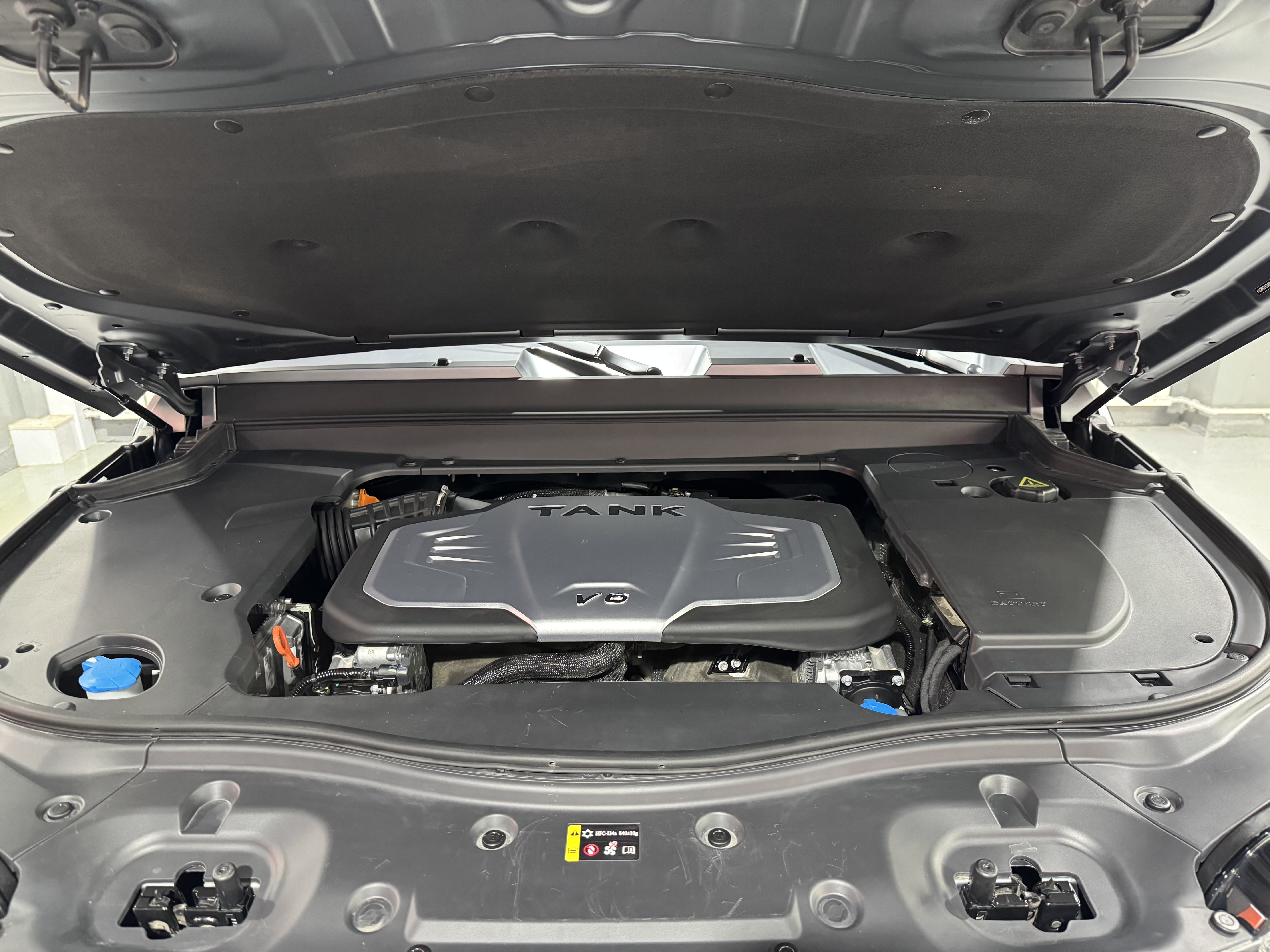 Tank 700 New Energy 2024 immagine di auto #16