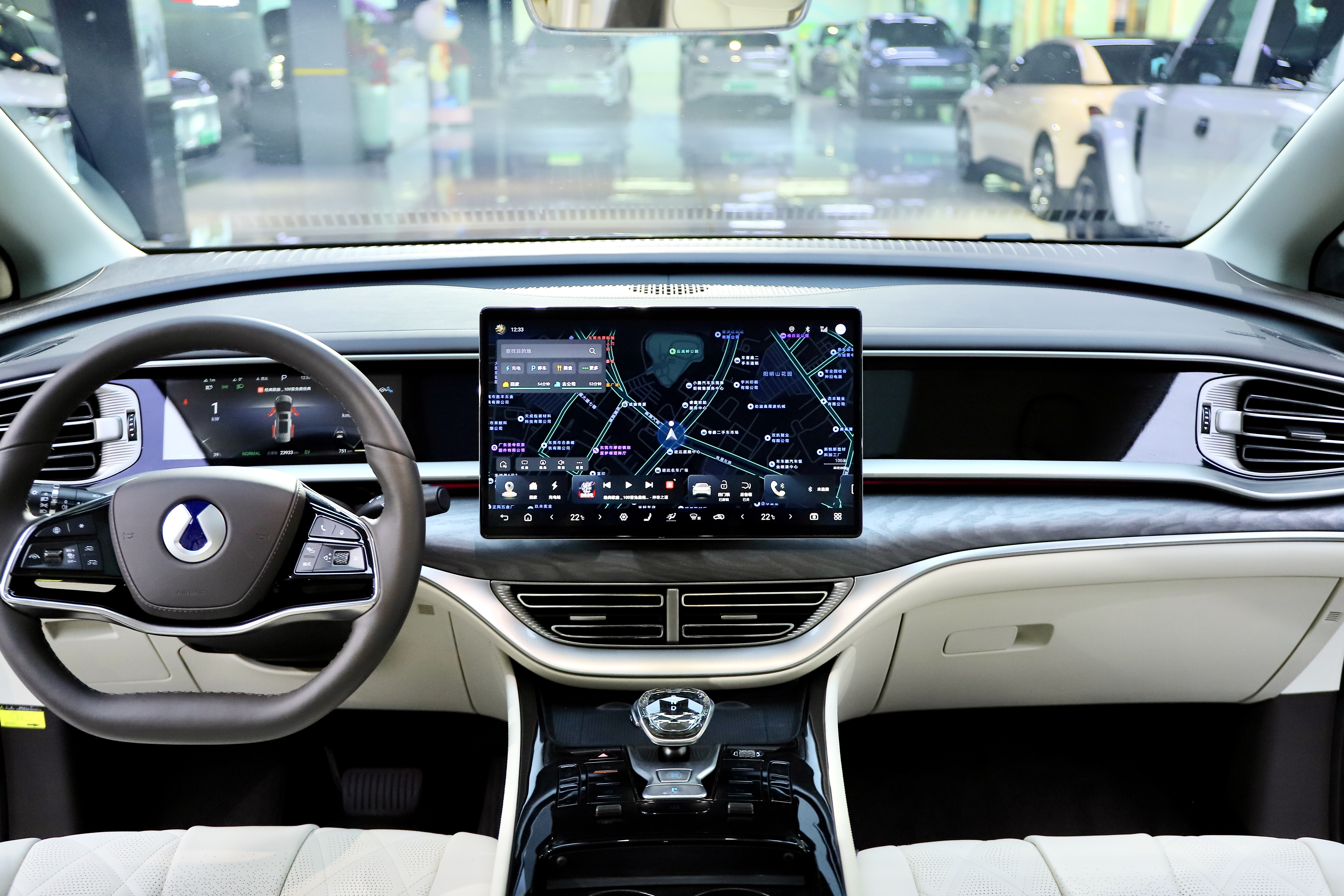 Denza D9 2024 immagine di auto #16