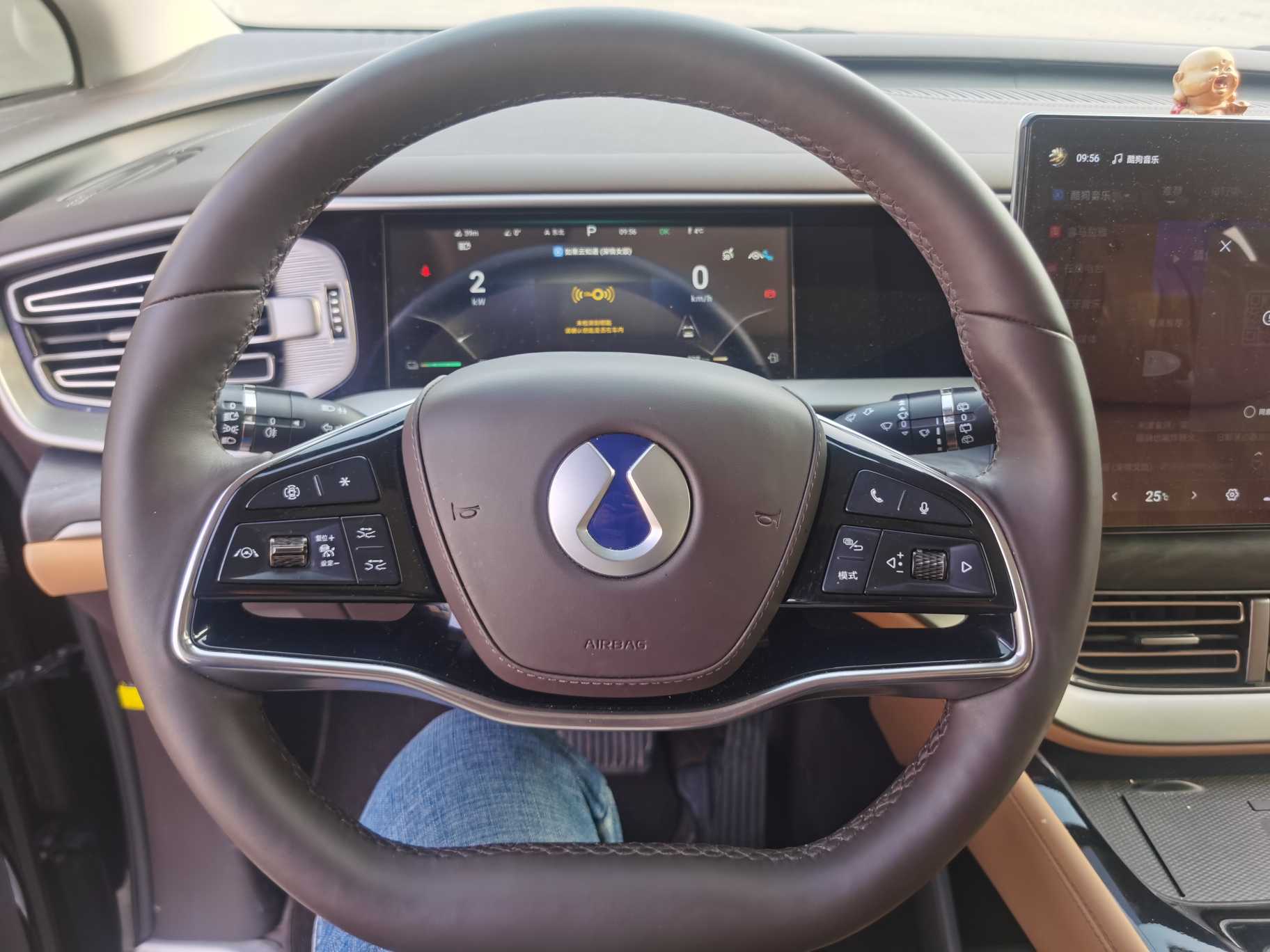 Denza D9 2024 car image #16