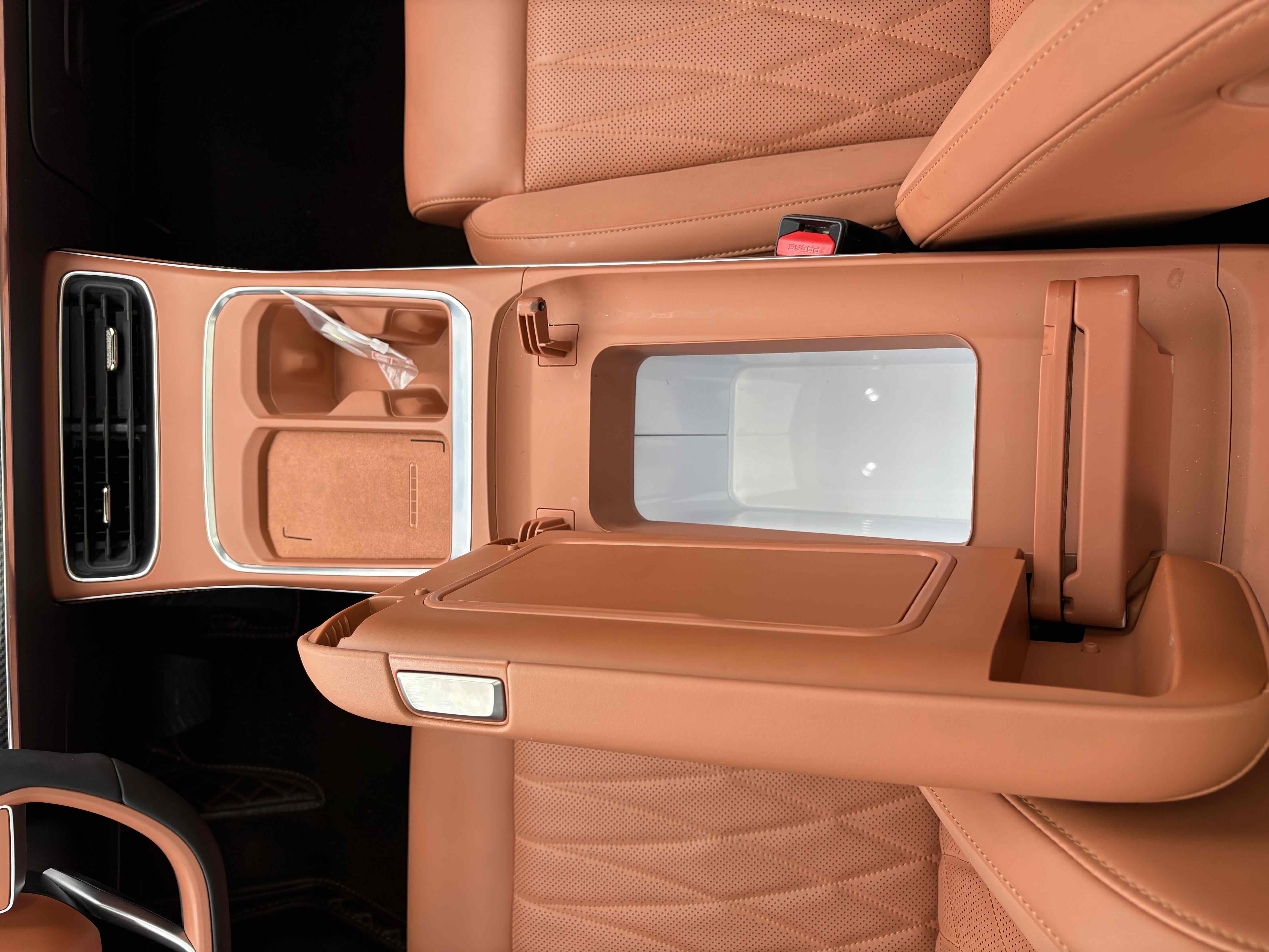 Neta L 2024 imagen de coche #16