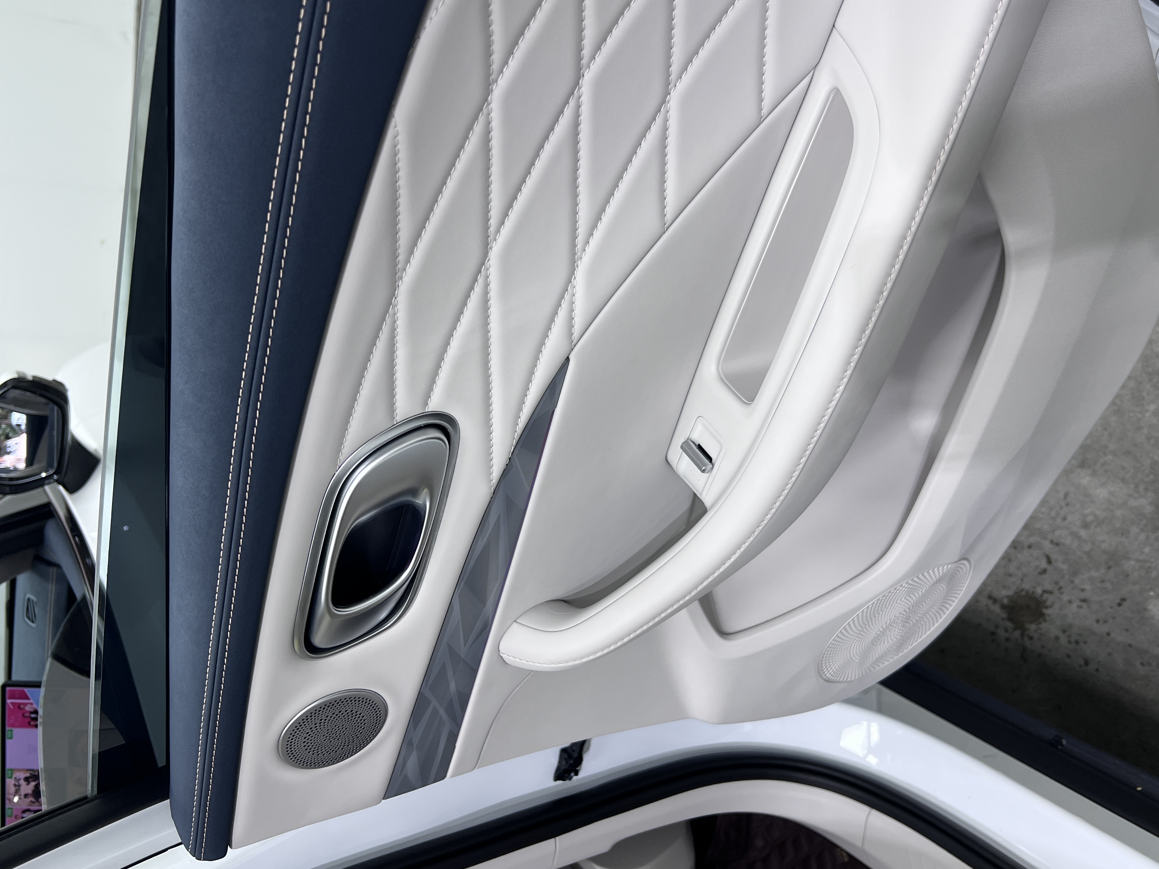 Neta L 2024 imagen de coche #16