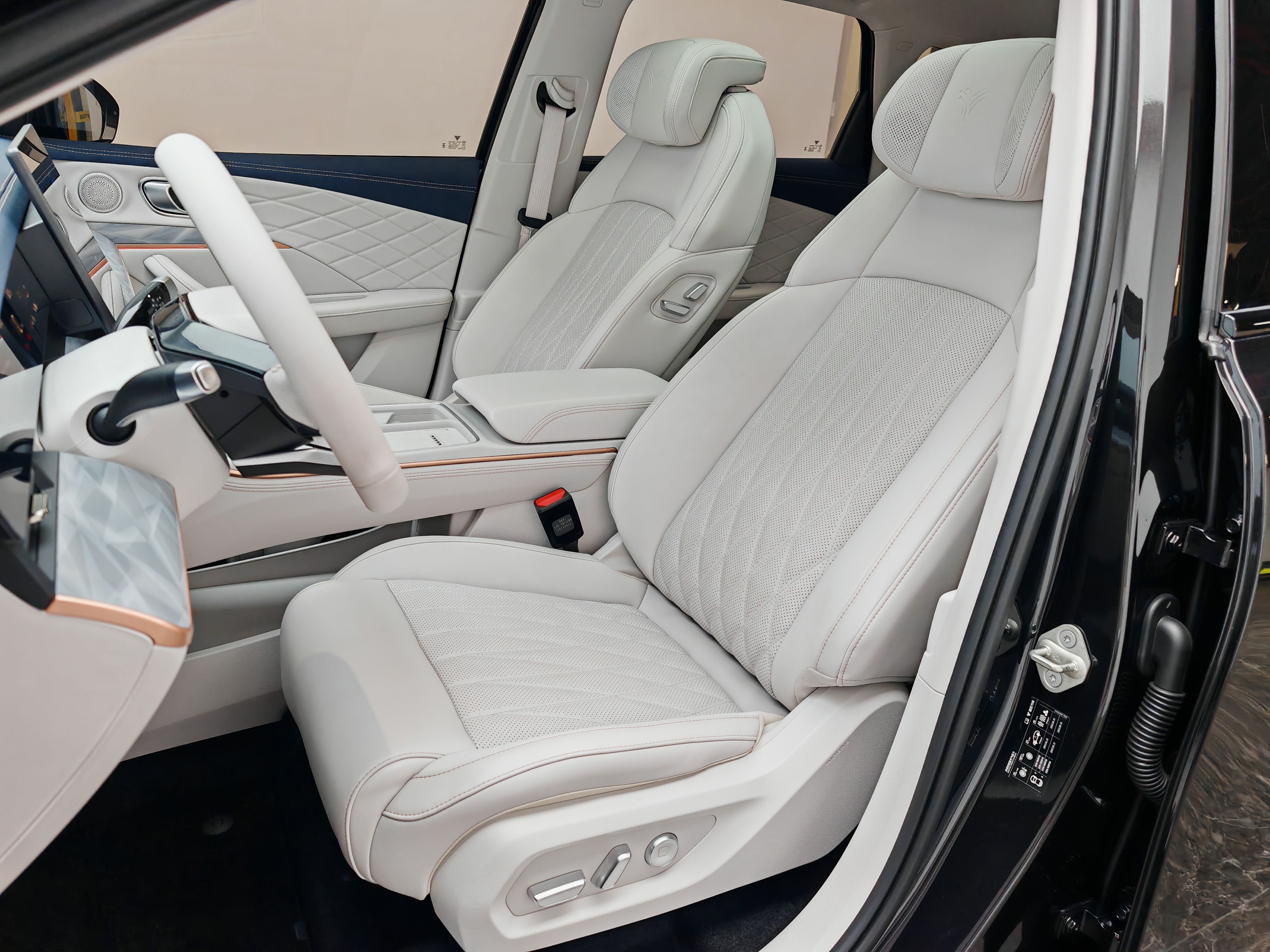 Neta L 2024 imagen de coche #16