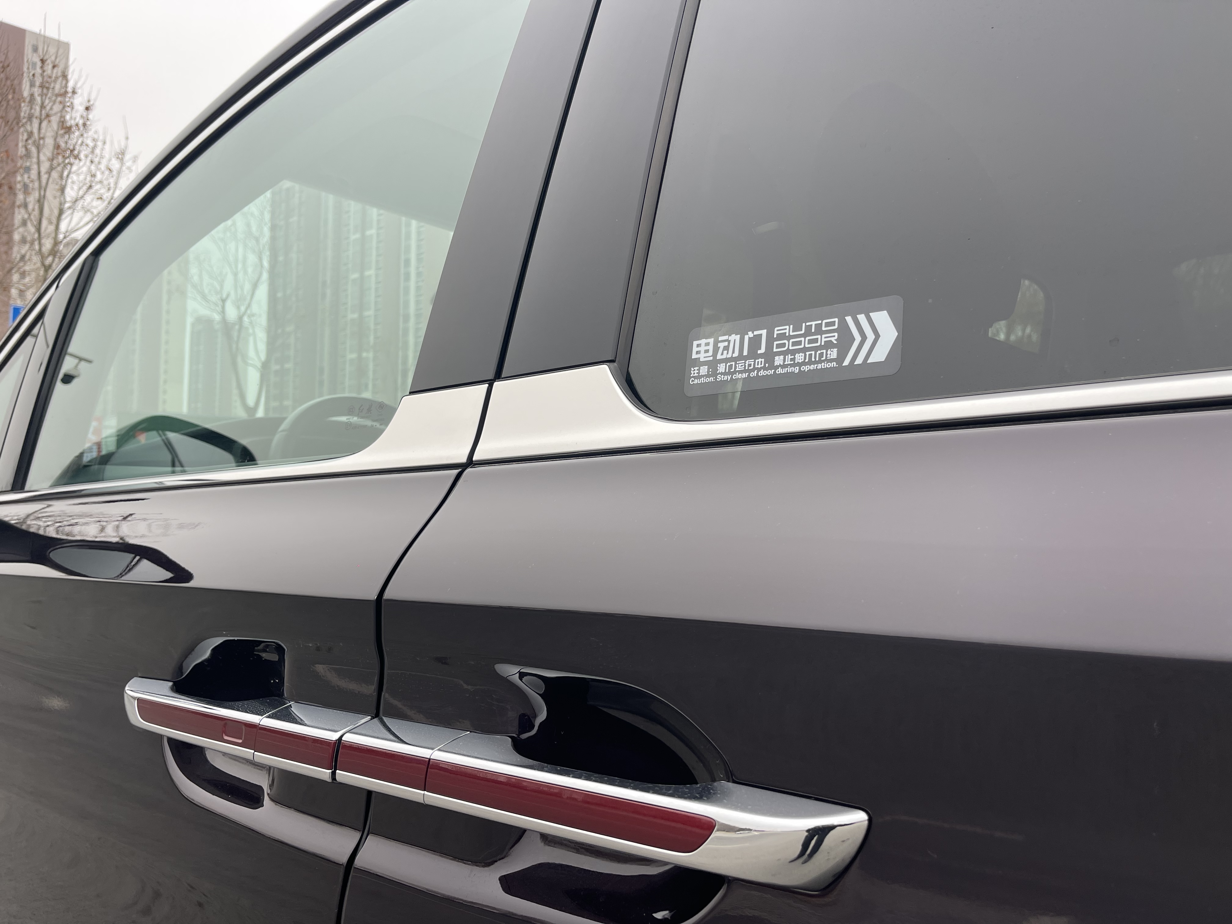 HongQi HQ9 PHEV 2024 car image #16