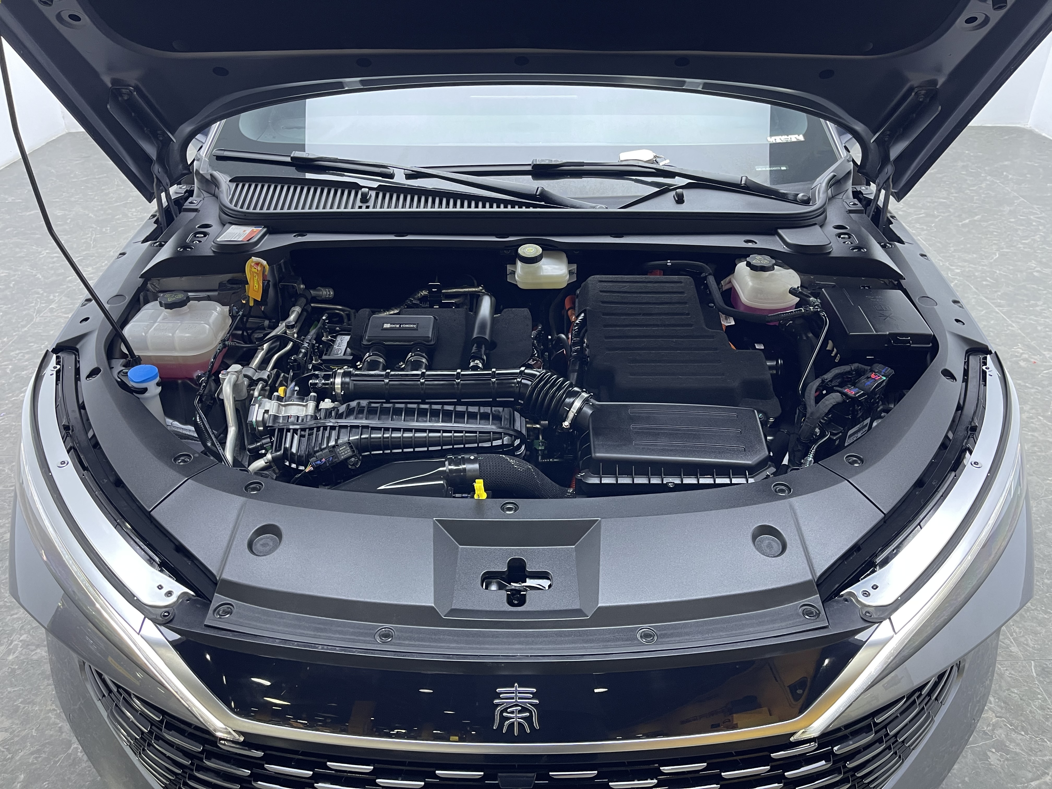 BYD Qin L 2024 #16 BYD Qin L 2024 immagine di auto #16