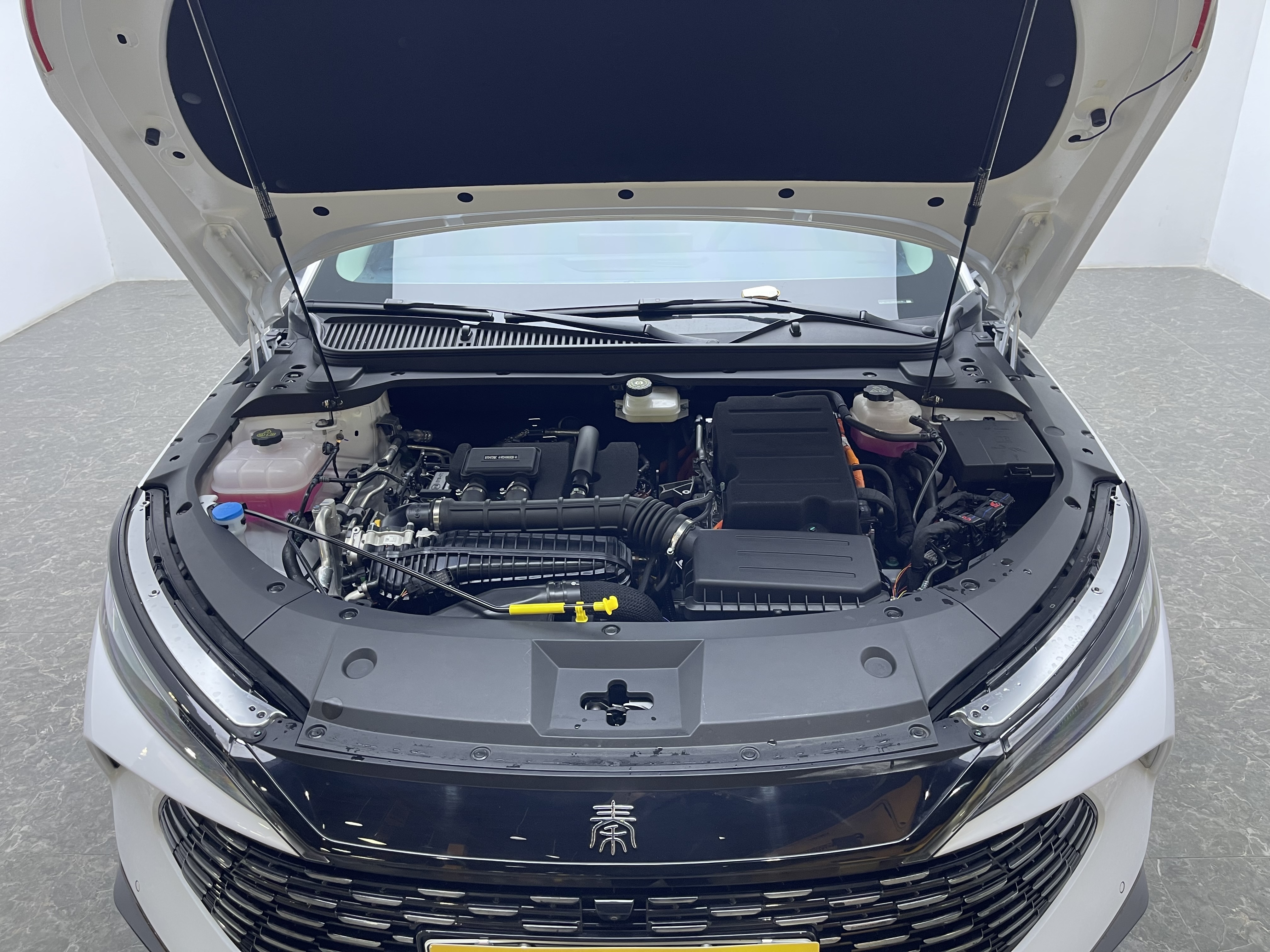 BYD Qin L 2024 #16 BYD Qin L 2024 immagine di auto #16