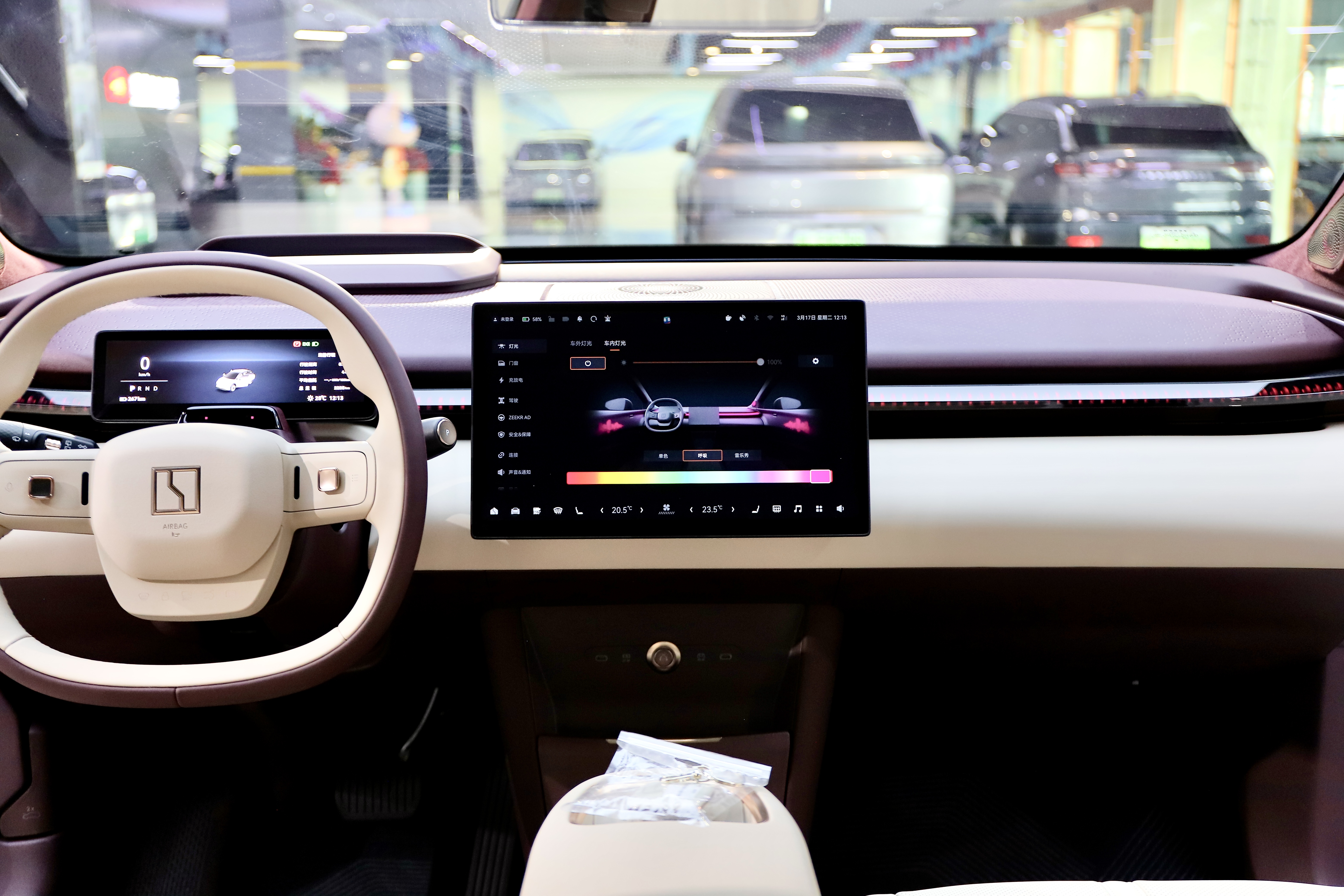 极氪 极氪X 2024 汽车图片 #16