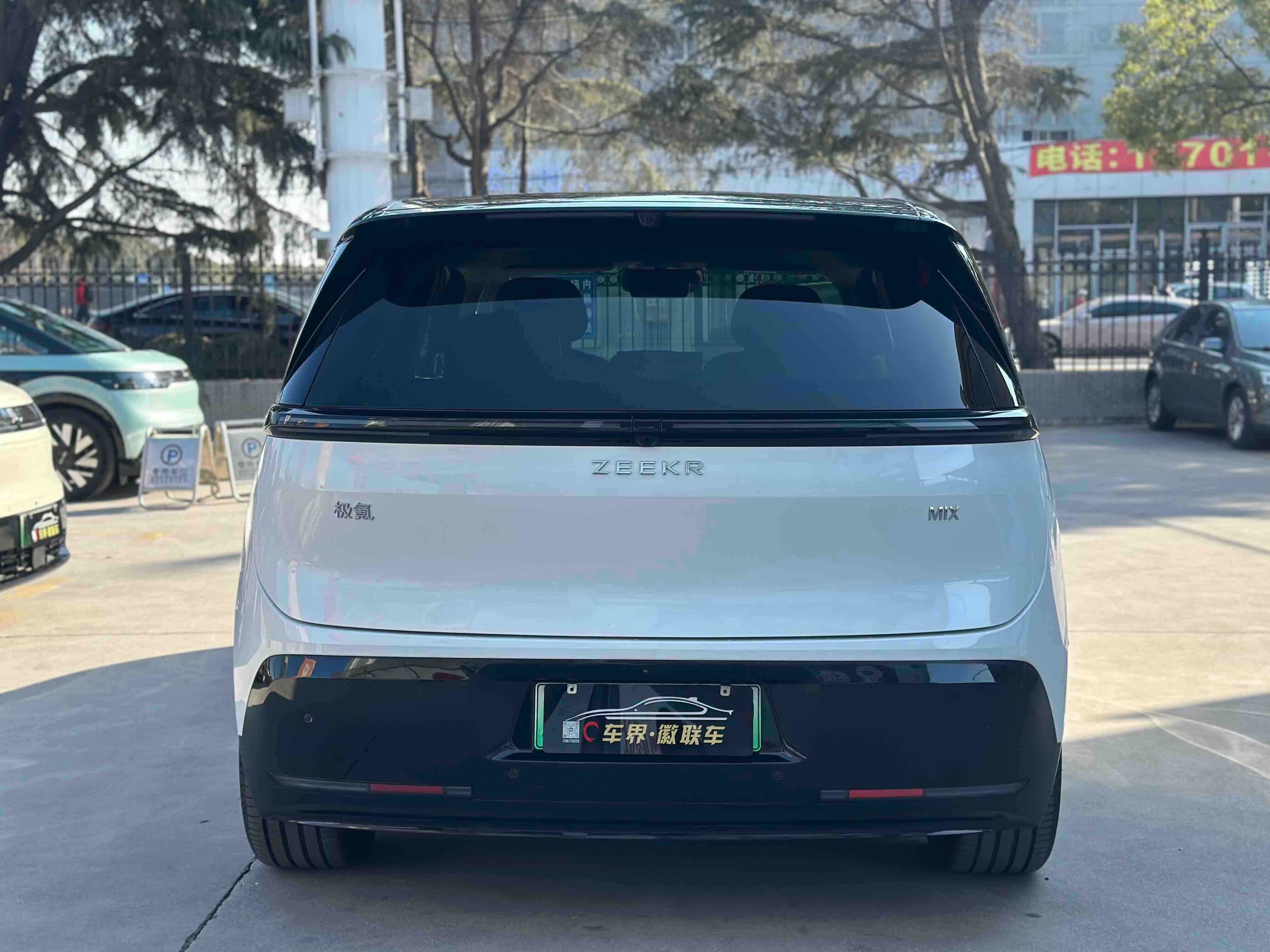 极氪 极氪MIX 2024 汽车图片 #16