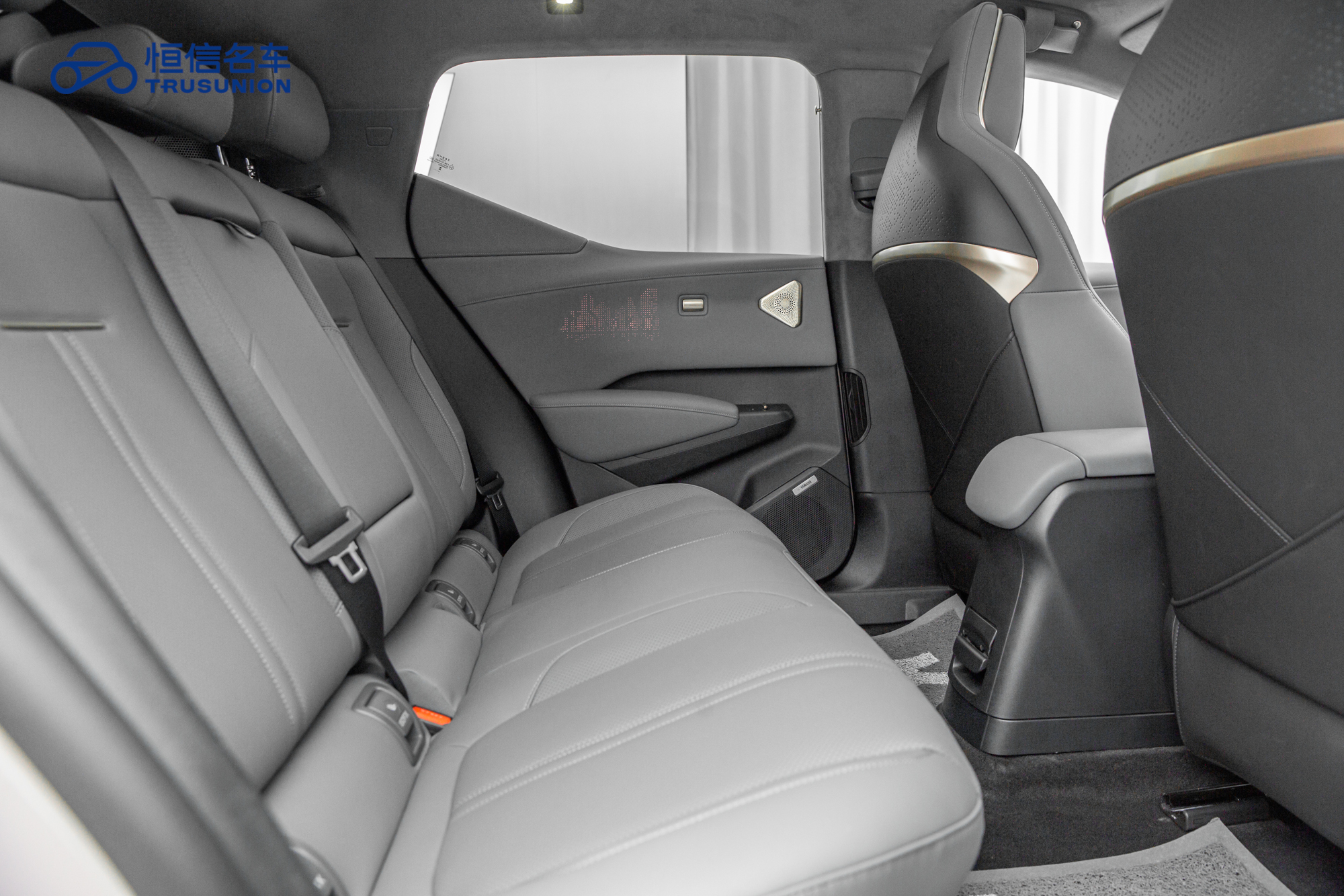 极氪 极氪X 2024 汽车图片 #16