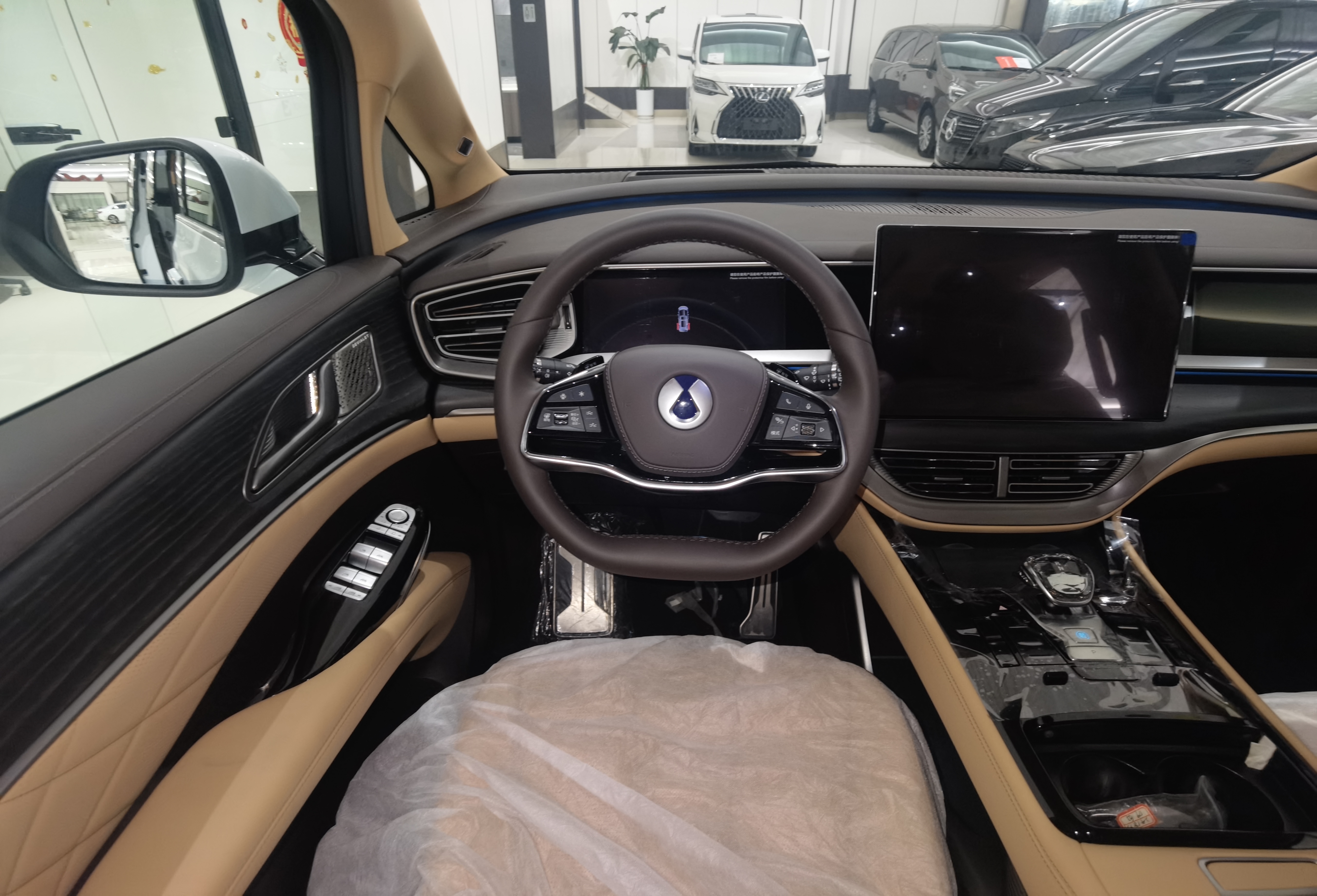 Denza D9 2025 imagen de coche #16