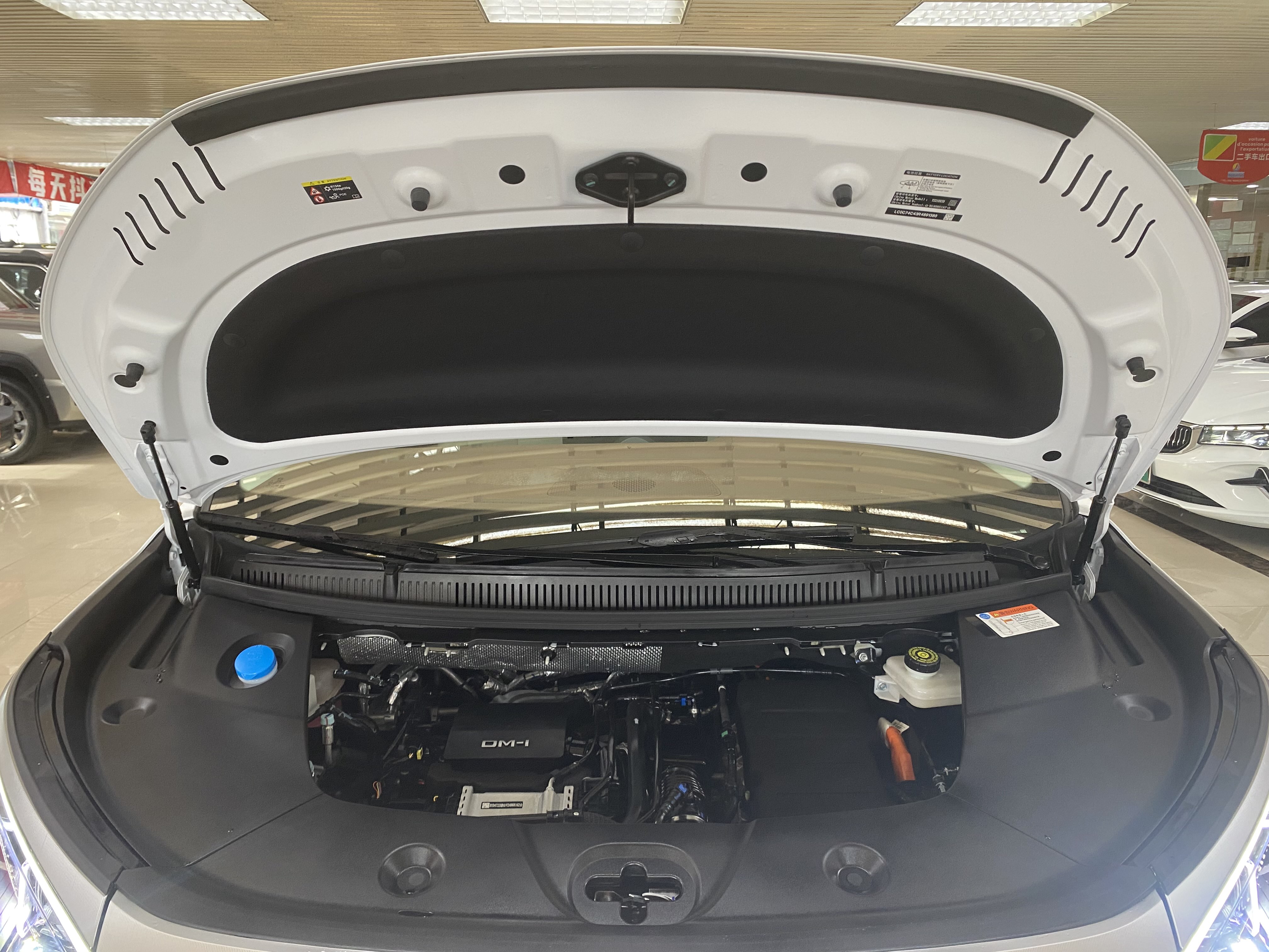 BYD Xia 2025 car image #16