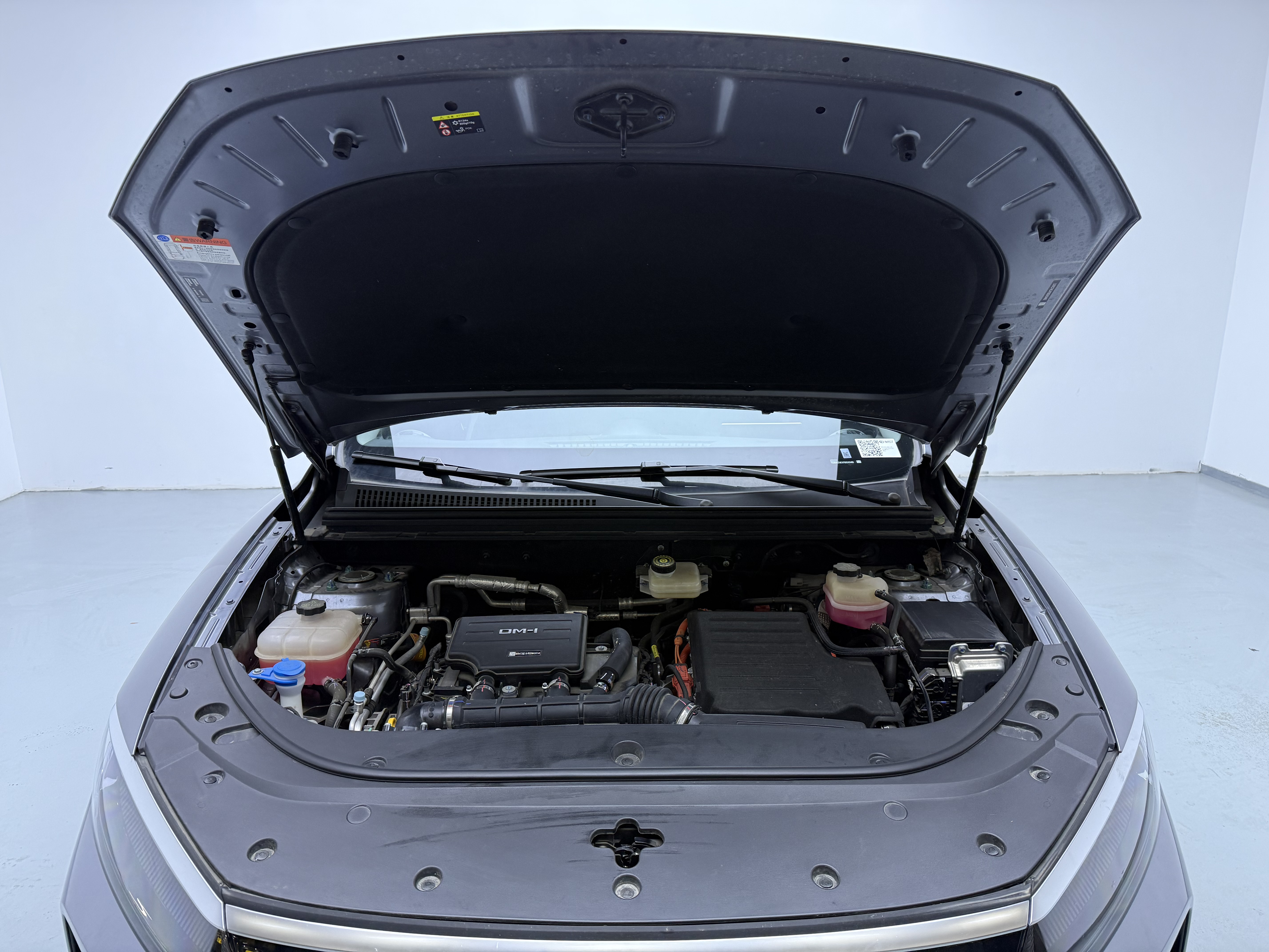 BYD Sea Lion 05 DM-i 2025 car image #16