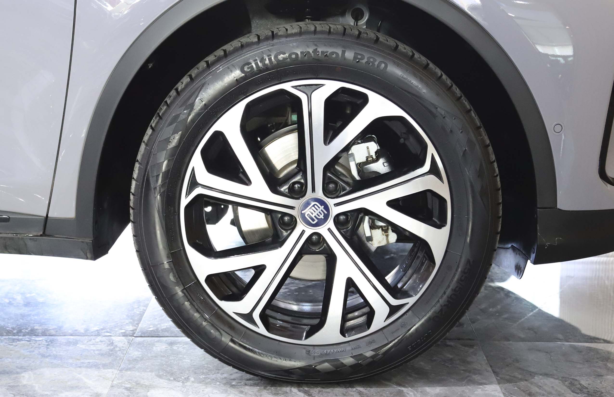 BYD Tang New Energy 2025 car image #16