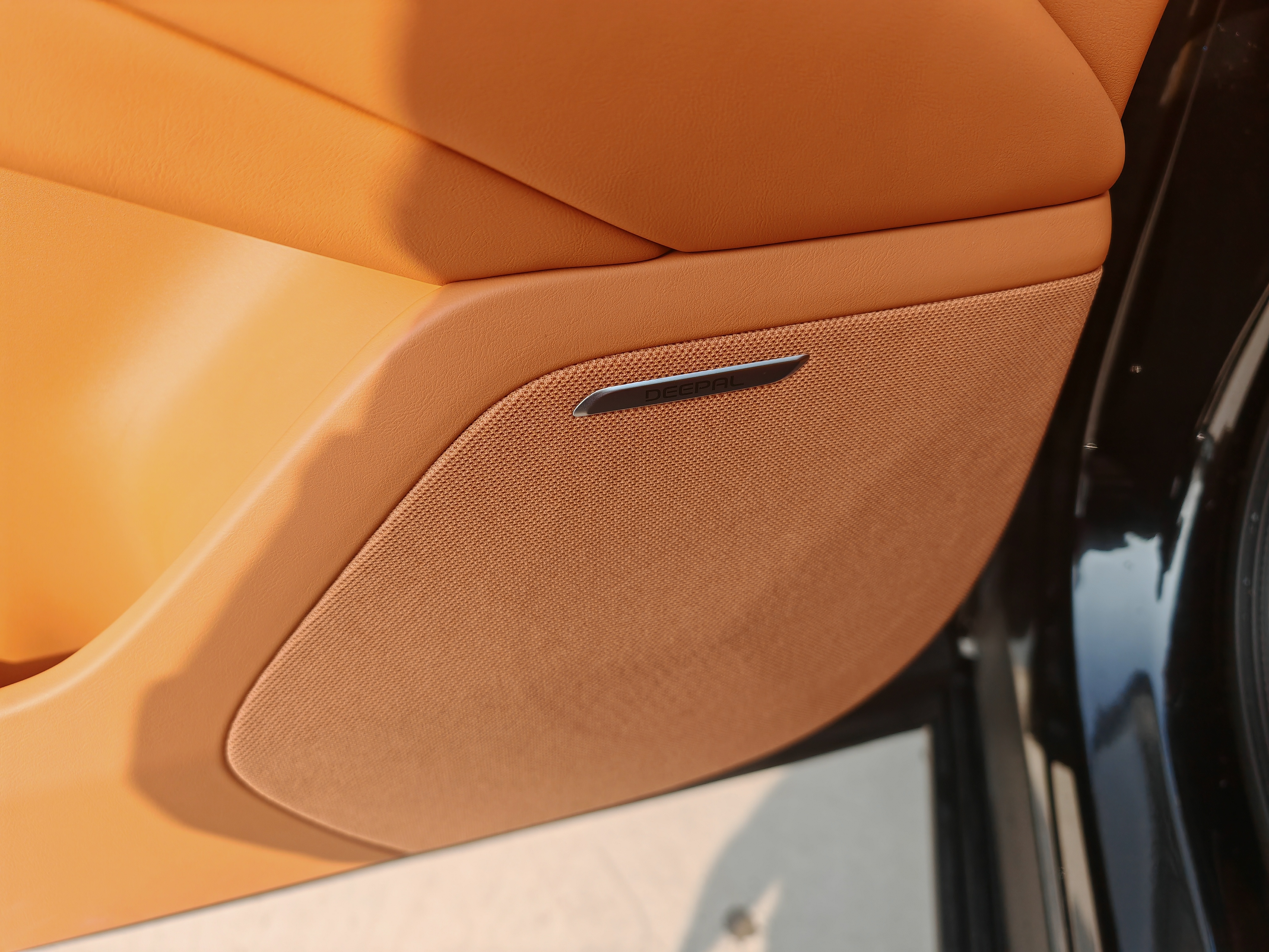 Deepal S09 2025 car image #16