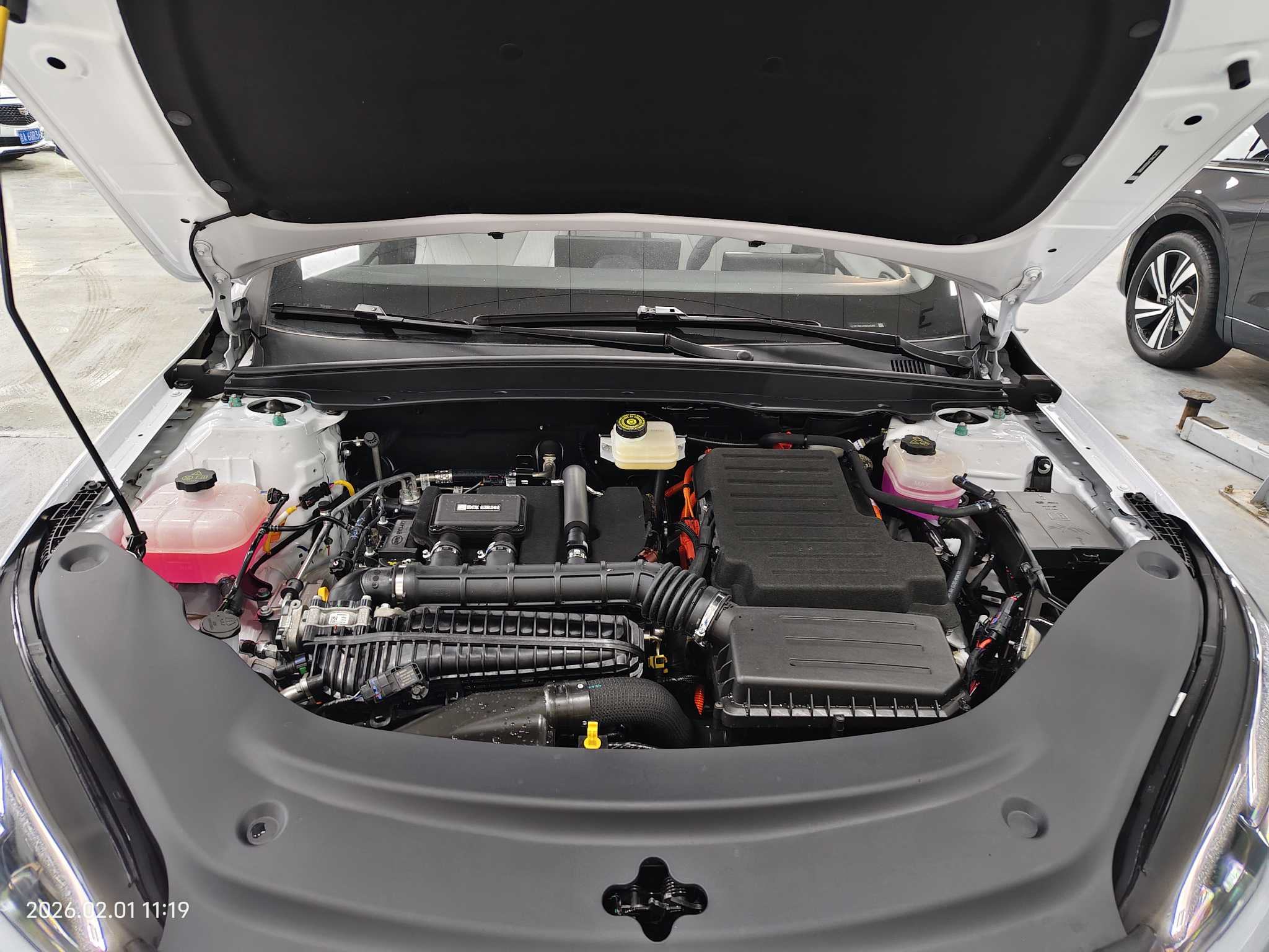 BYD Seal 05 DM-i 2025 car image #16