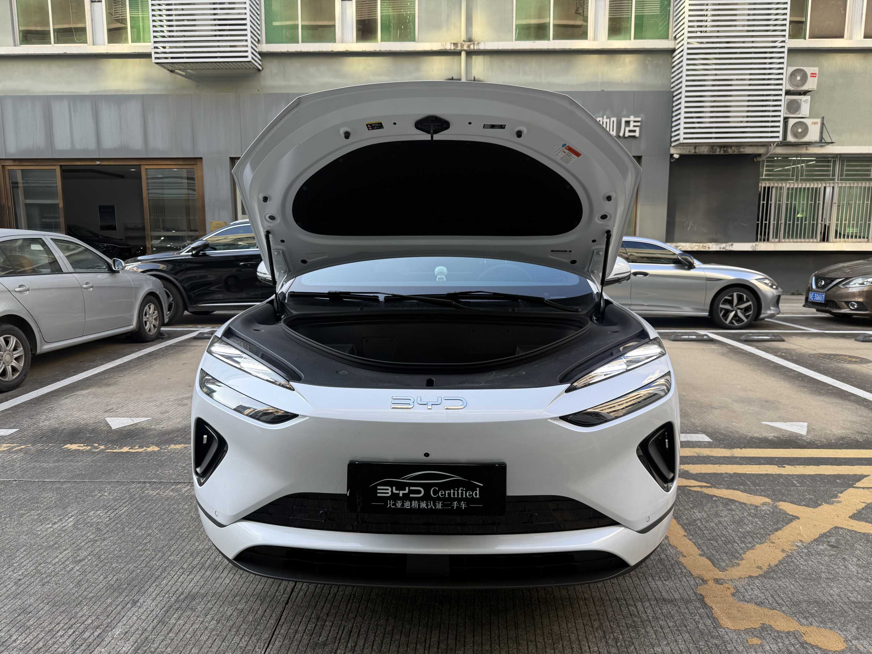 BYD Sea Lion 06 New Energy 2025 car image #16