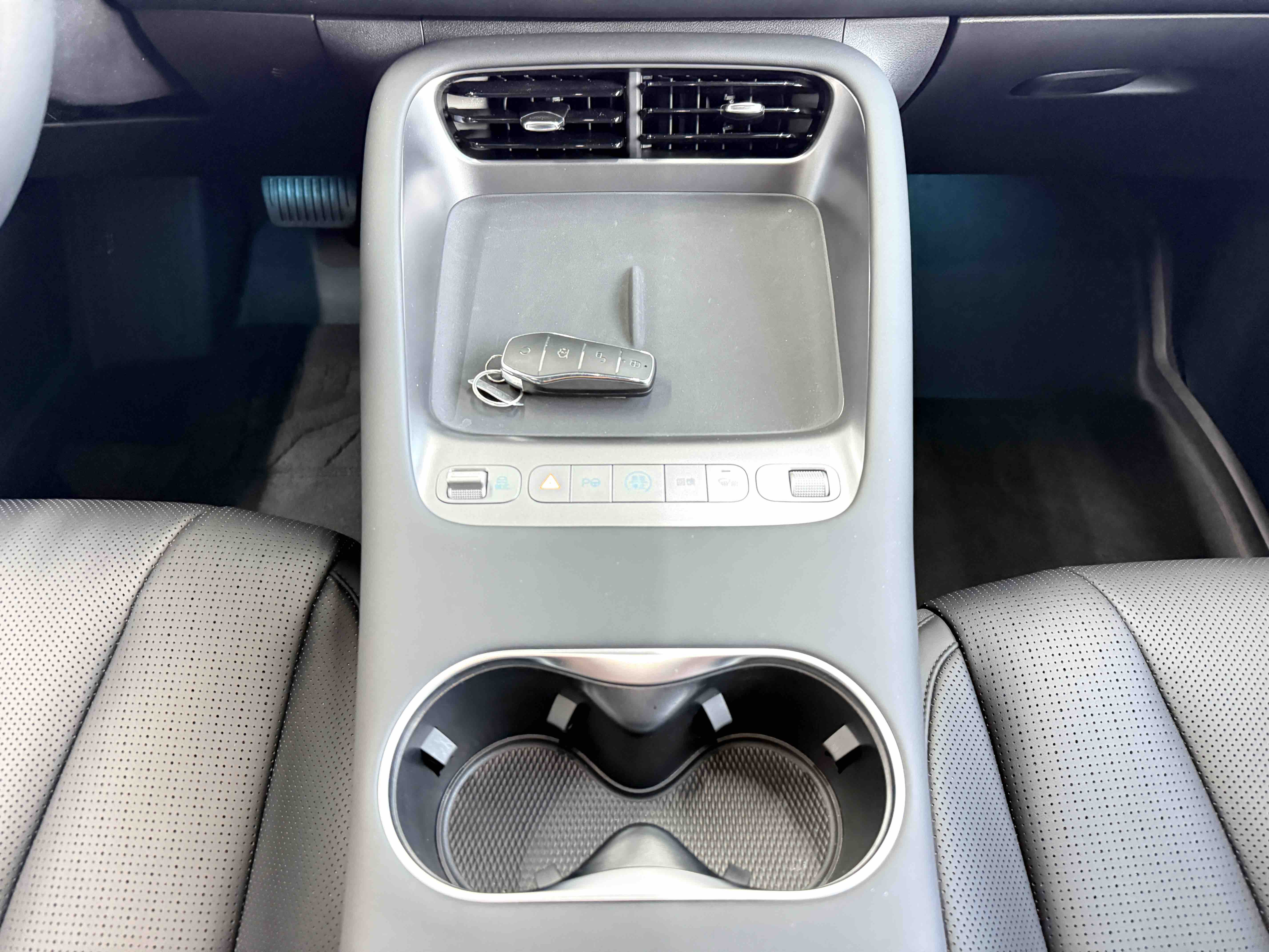 BYD Sea Lion 06 New Energy 2025 car image #16