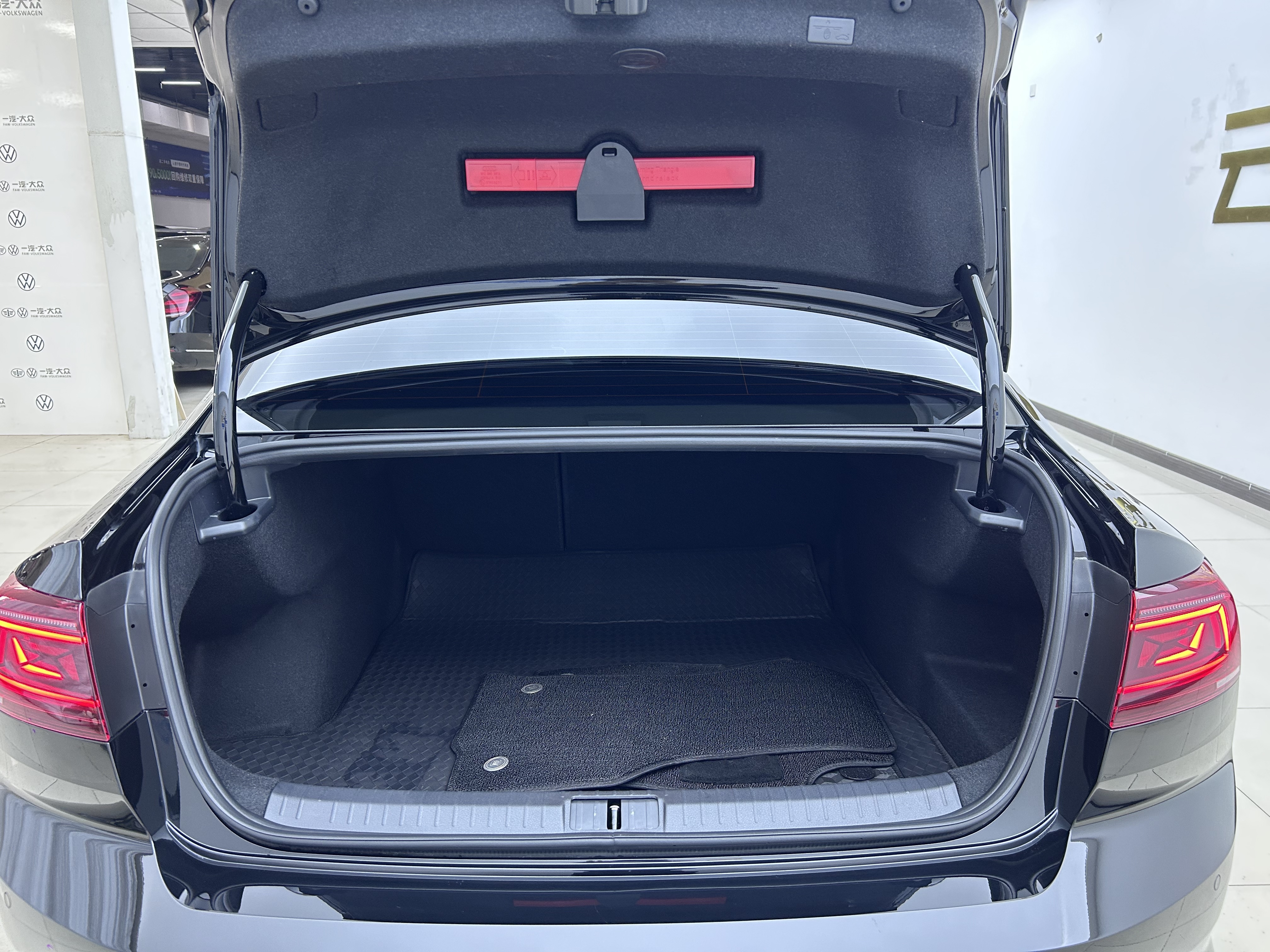 Volkswagen Magotan 2025 car image #16