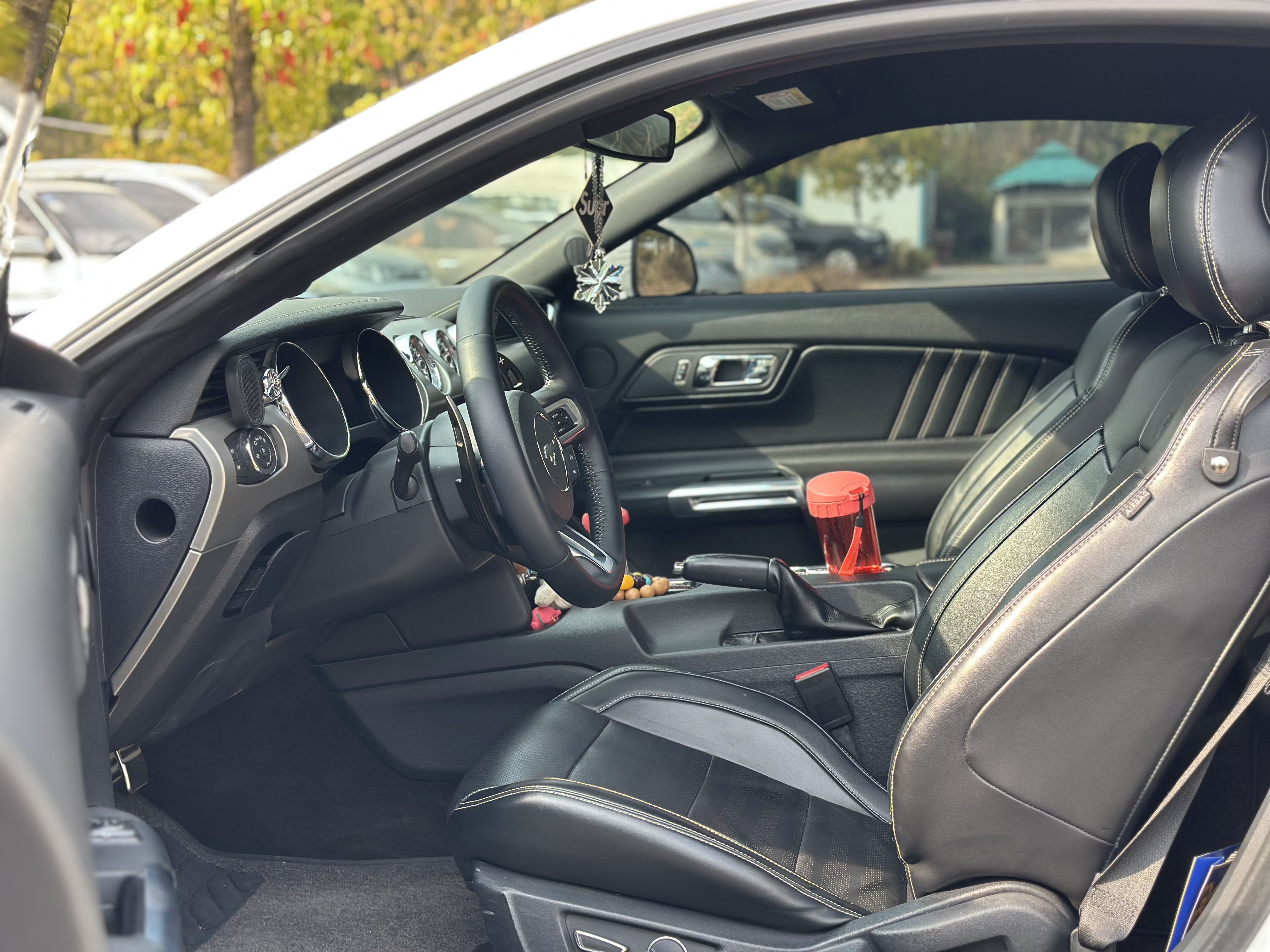 Ford Mustang 2015 car image #16