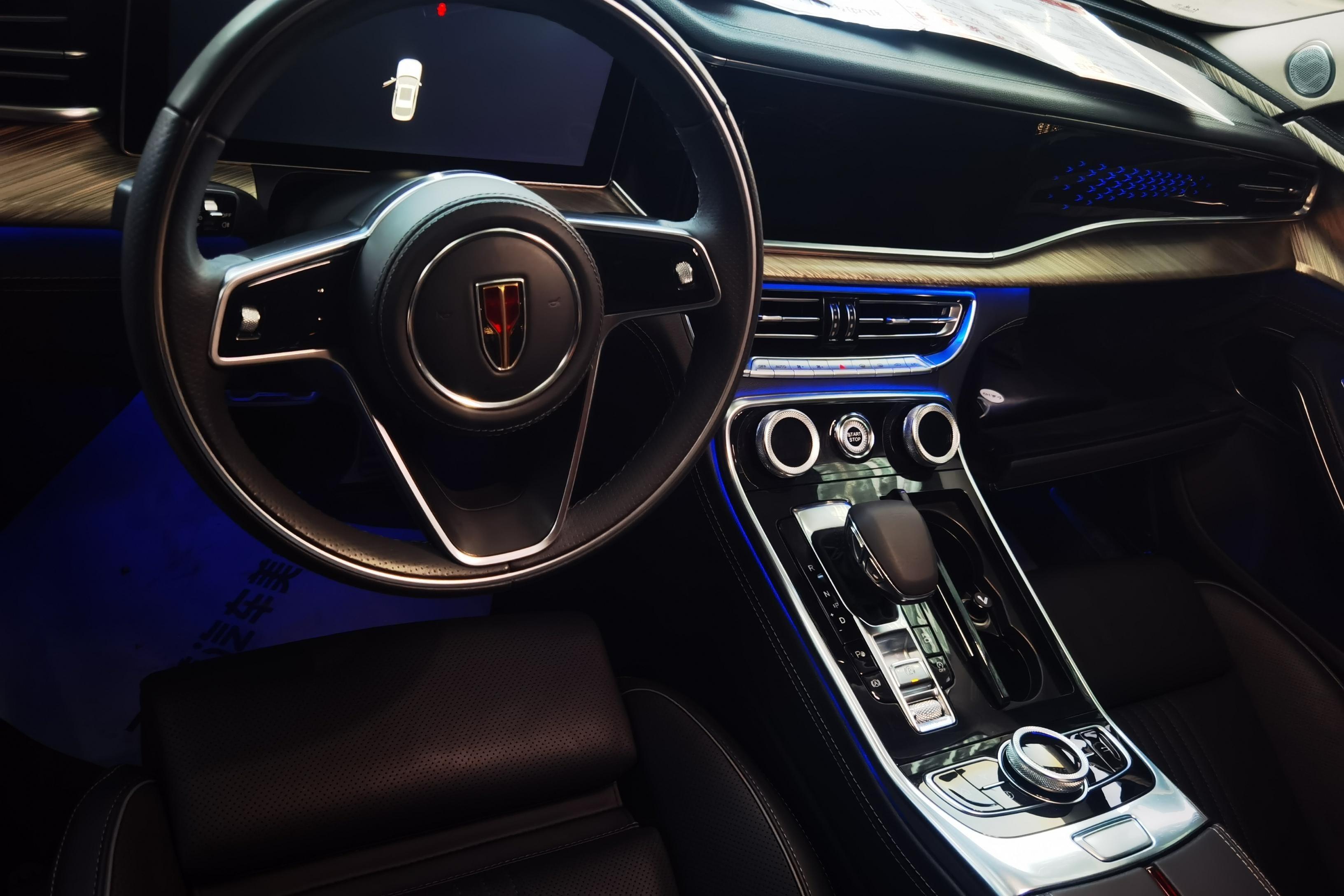 HongQi H9 2021 #16 HongQi H9 2021 immagine di auto #16