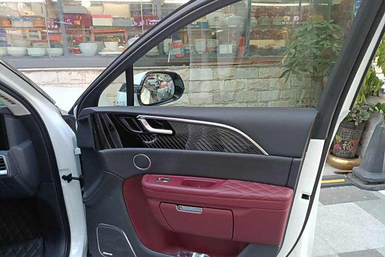 HongQi E-HS9 2023 car image #16