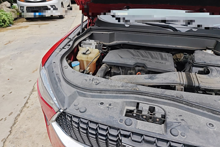 Haval F7 2019 car image #16