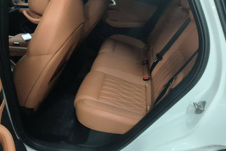 Neta L 2024 imagen de coche #16