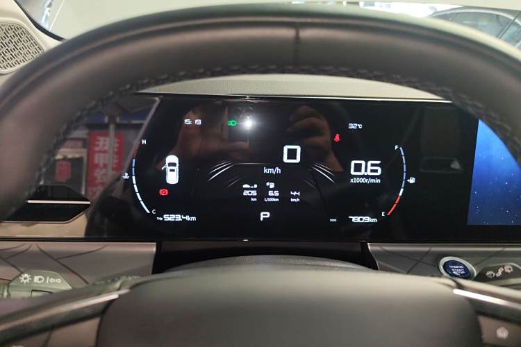 GEELY OkavangoPRO 2024 car image #16