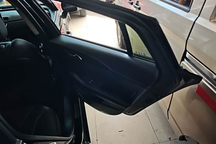 HongQi S9 2021 car image #16