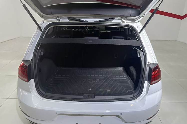 Volkswagen Golf Pure Electric 2020 car image #16