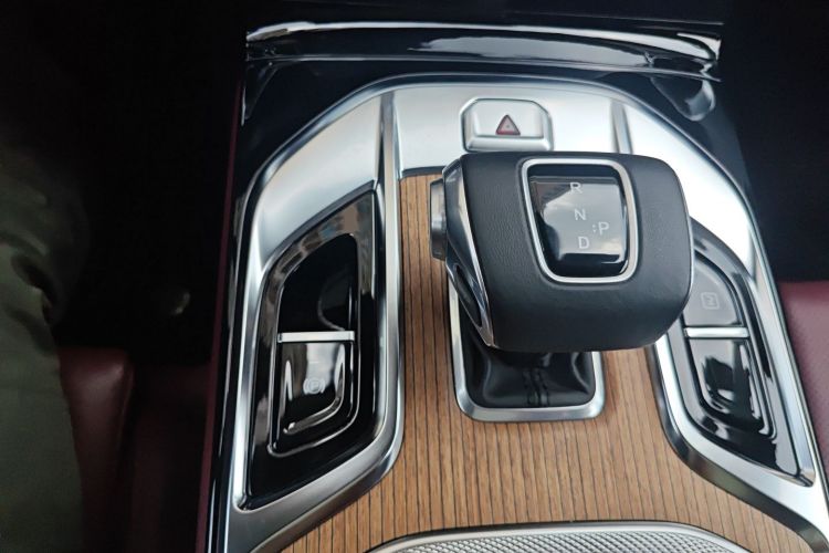 HongQi E-HS9 2022 car image #16