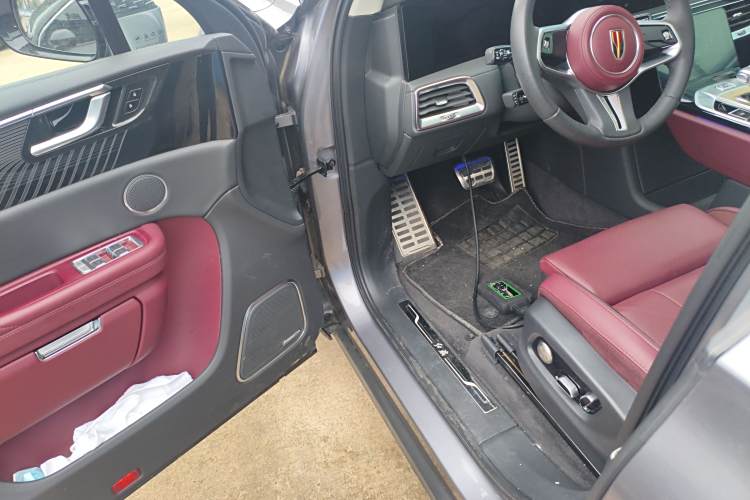 HongQi E-HS9 2023 immagine di auto #16