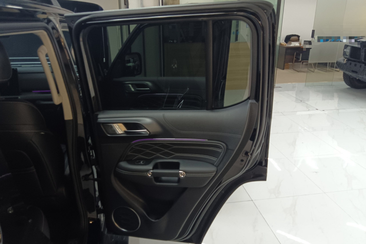 Tank 300 New Energy 2025 car image #16