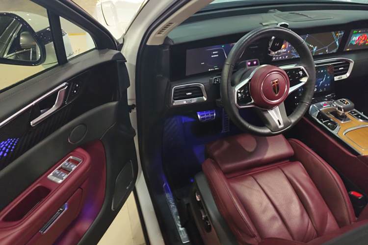 HongQi E-HS9 2021 immagine di auto #16