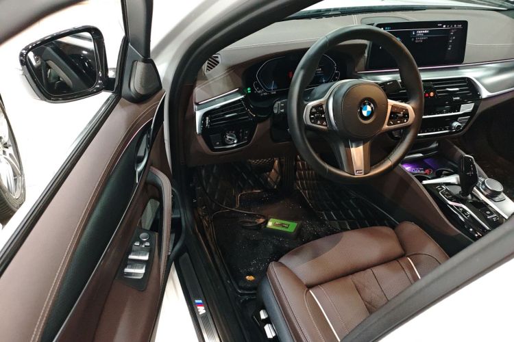 BMW 5 Series New Energy 2021 car image #16