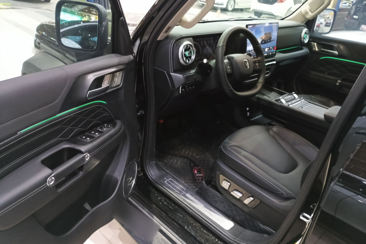 Tank 300 New Energy 2025 car image #16