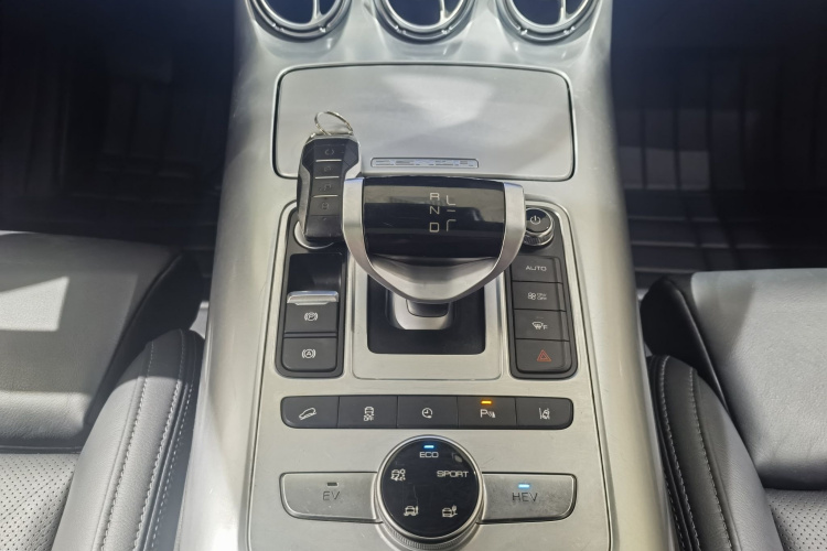 Denza X 2022 image de voiture #16