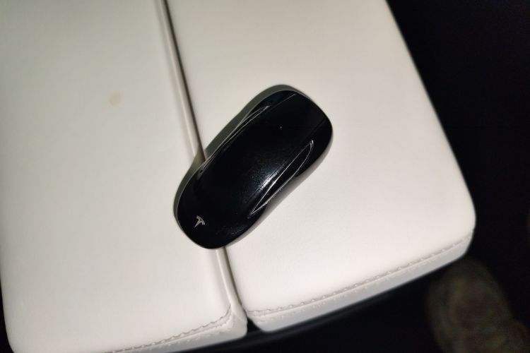 Tesla Model X 2019 car image #16