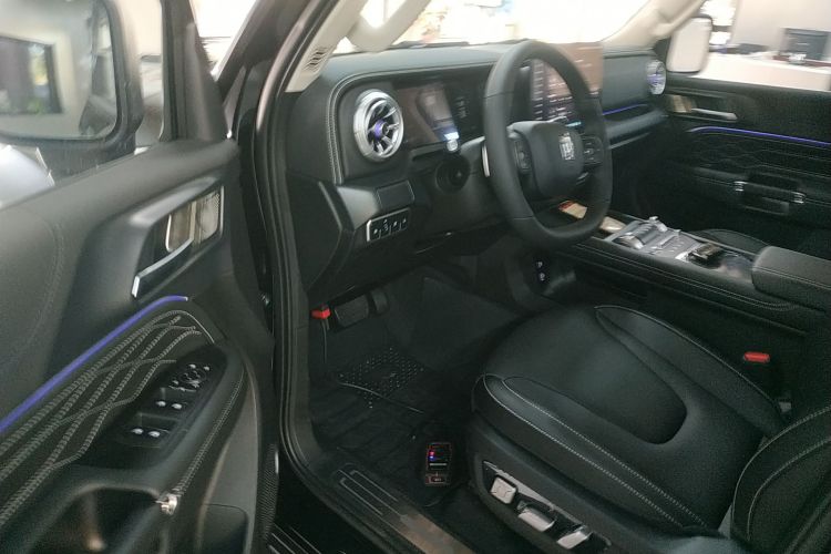 Tank 300 New Energy 2025 car image #16