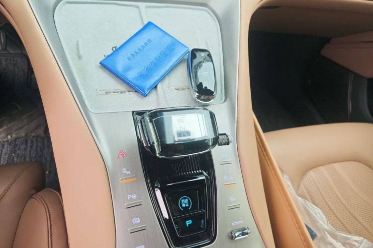 Denza N7 2023 car image #16